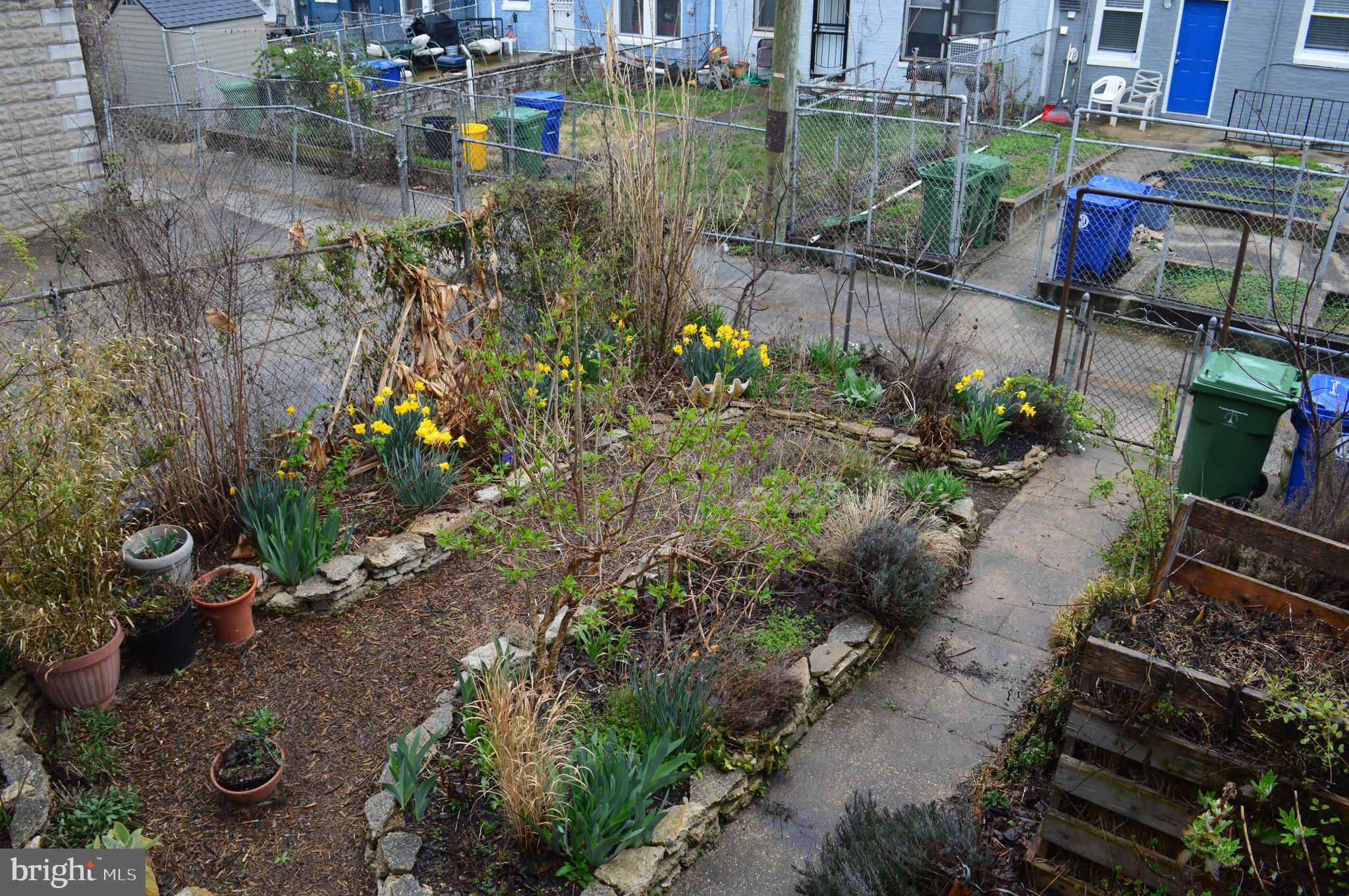 EVERGREEN LAWN - Residential