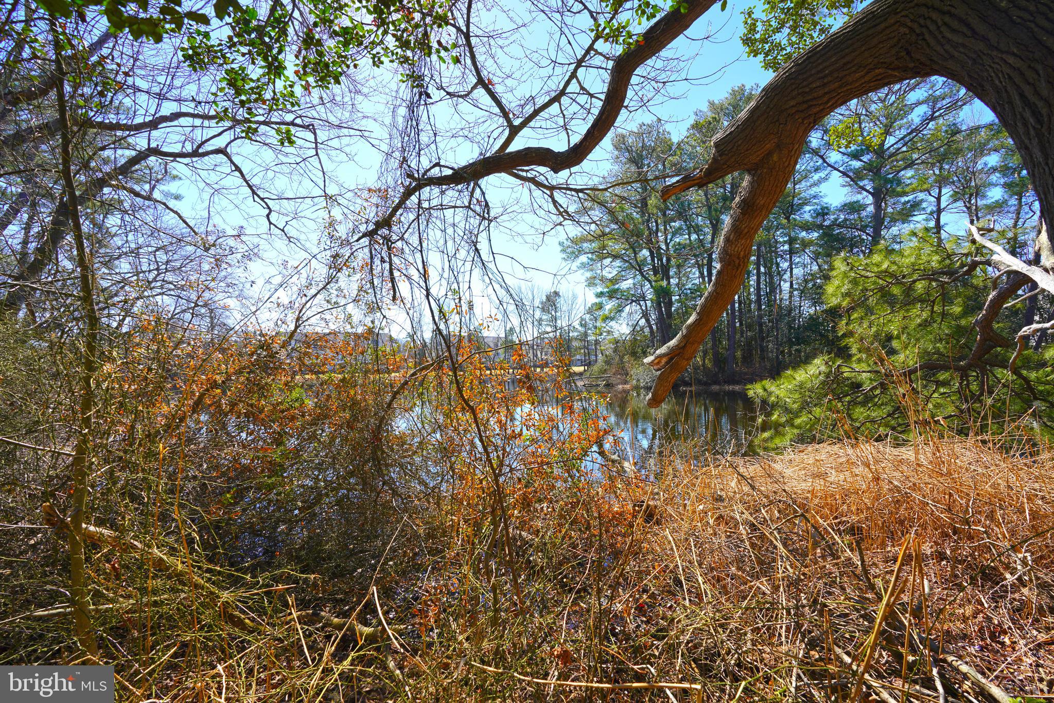 GRANDE AT CANAL POINTE - Residential