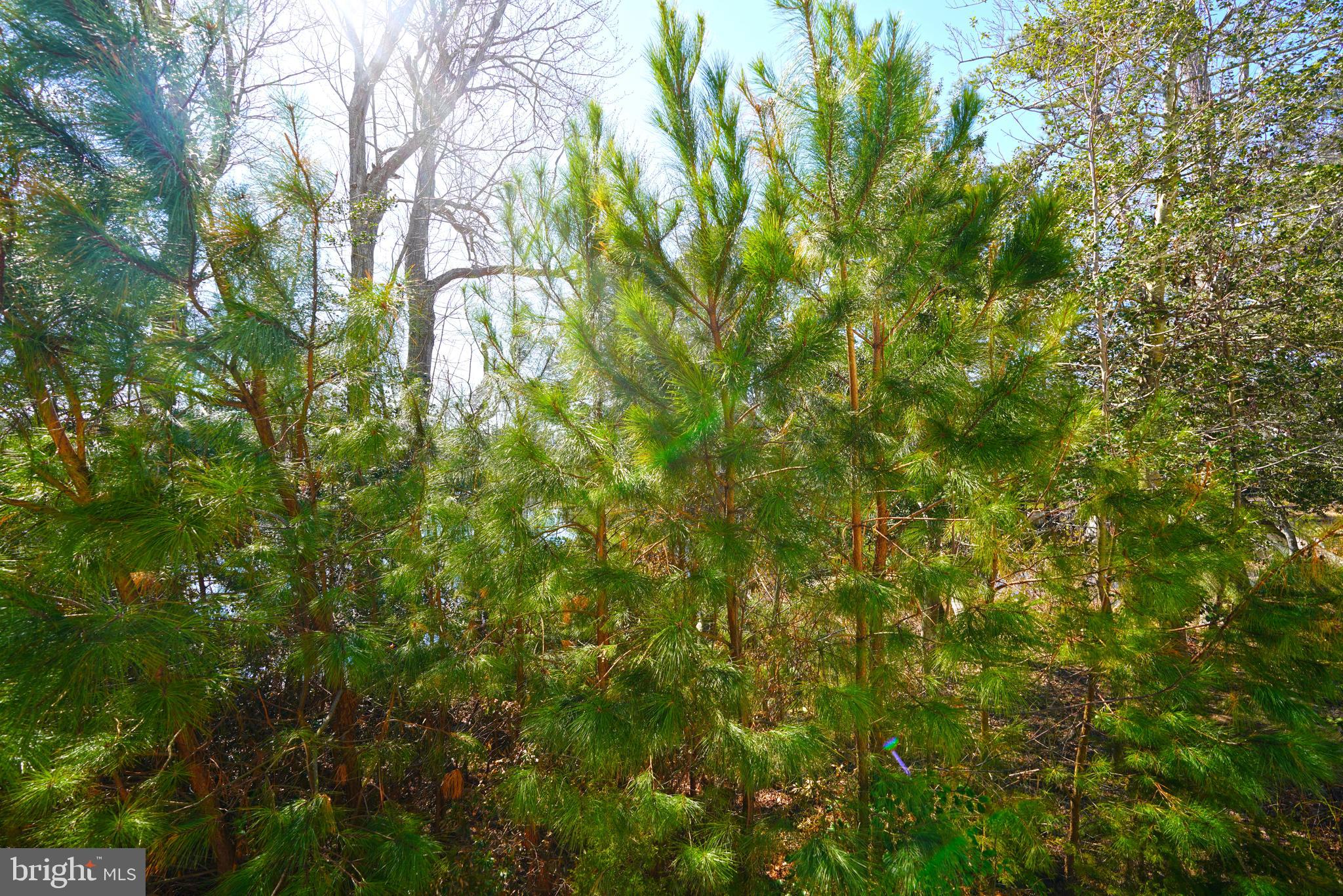 GRANDE AT CANAL POINTE - Residential