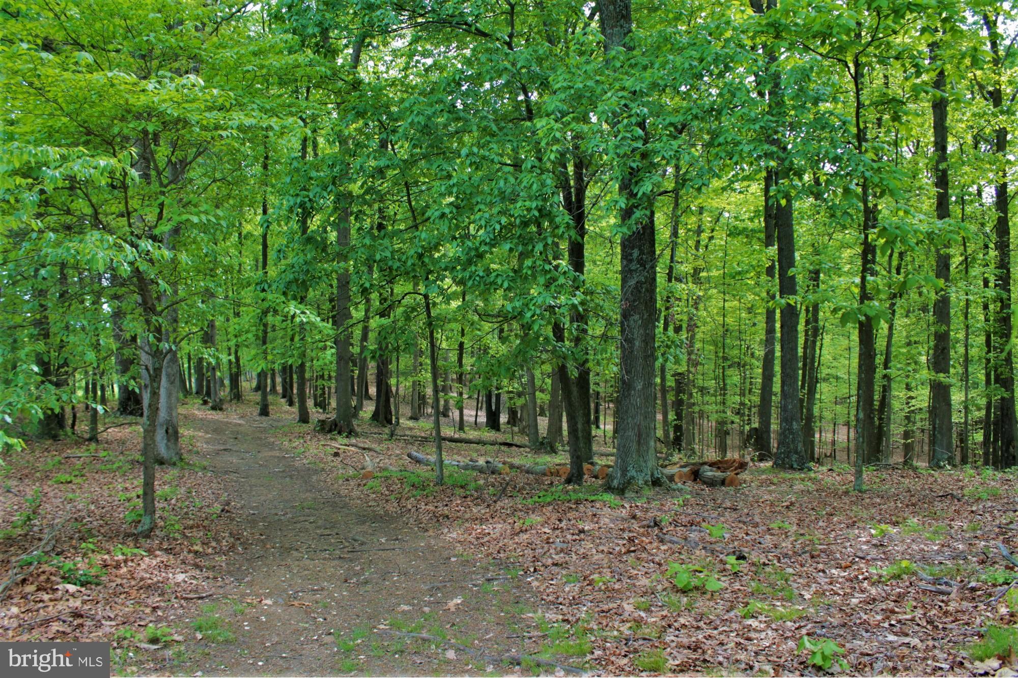 NONE AVAILABLE - Land