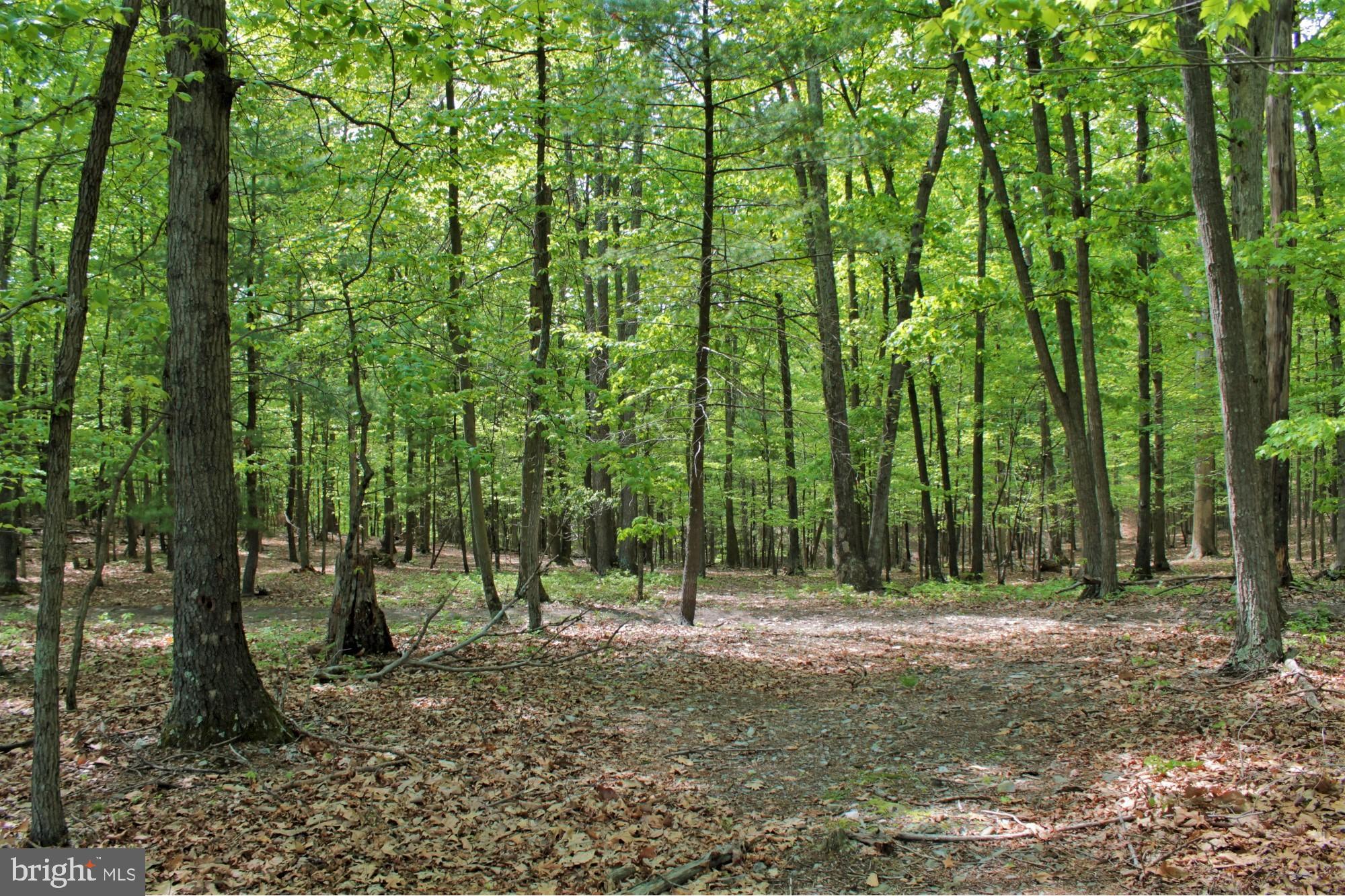 NONE AVAILABLE - Land