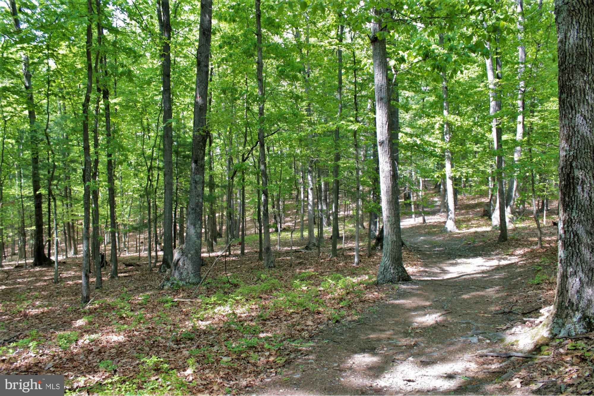 NONE AVAILABLE - Land