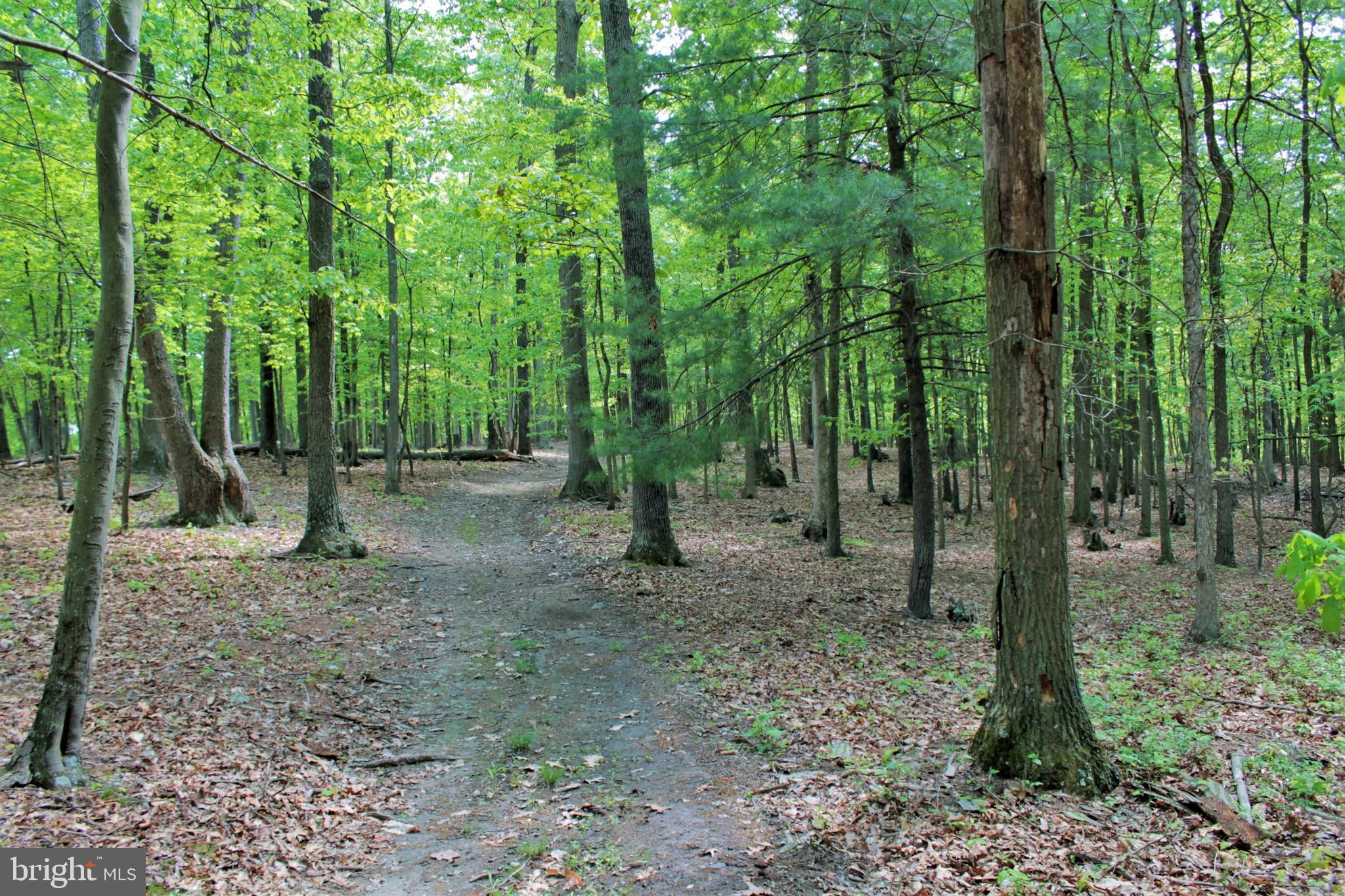 NONE AVAILABLE - Land