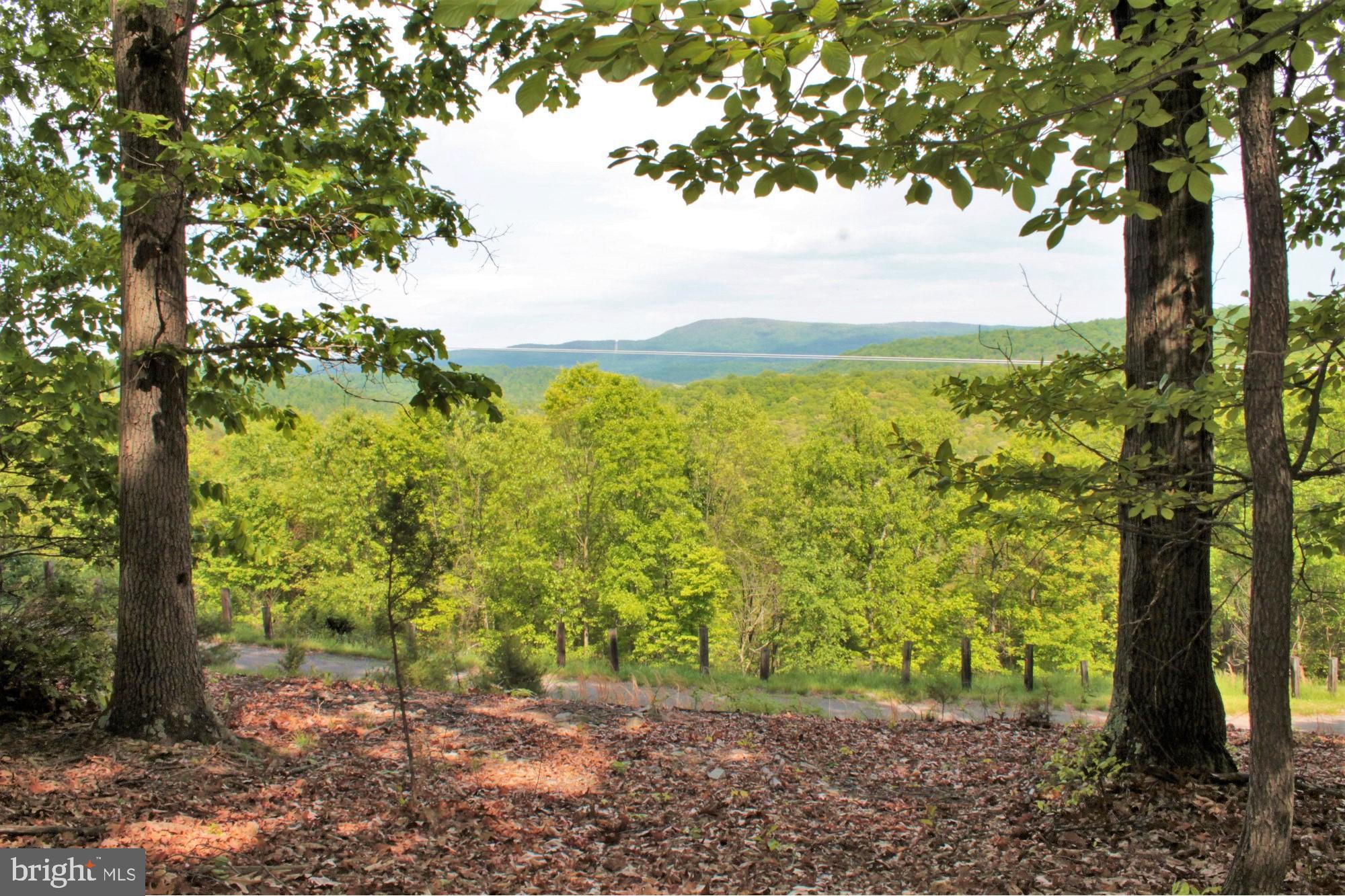 Amazing mountain and pastoral views from this wooded 3.41-acre building lot nestled in the mountains of Western Maryland. Situated in a mature forest setting and surrounded by other large parcels of wooded acreage, this property provides privacy and an abundance of wildlife. The acreage is gently sloped towards the rear with many level areas, perfect for construction that enables a walk-out lower level. The lot has been perk tested and approved for a conventional septic system. Electric is located approx 800 feet from the lot in Buck Resort Lane. This private location also offers easy access to I-70 & I-68 within a 5 minute drive. You'll find amenities like restaurants, convenience/grocery stores and retail shops located in nearby Hancock, MD. You'll also find access to the Western Maryland Rail Trail, Potomac River access and C&O Canal Towpath nearby for a variety of outdoor activities. This lot is recorded and ready to build. It would make an excellent lot for a contemporary log or cedar home with views in all directions. The lot has minimal restrictions but does not allow double-wide or mobile homes.