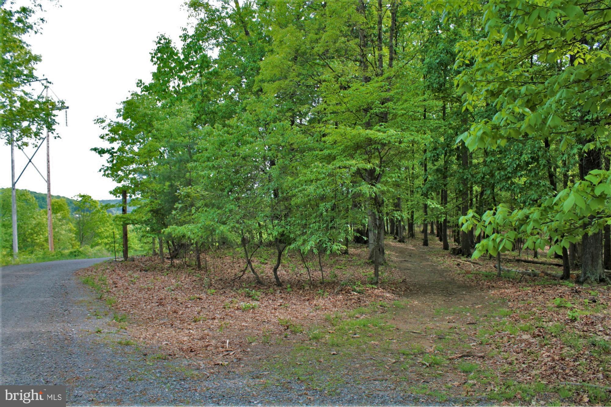 NONE AVAILABLE - Land