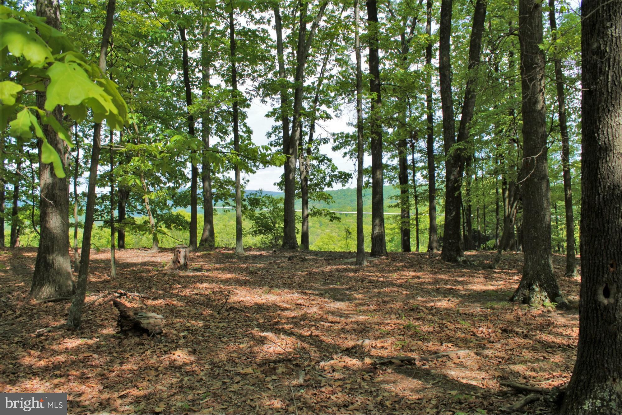 NONE AVAILABLE - Land