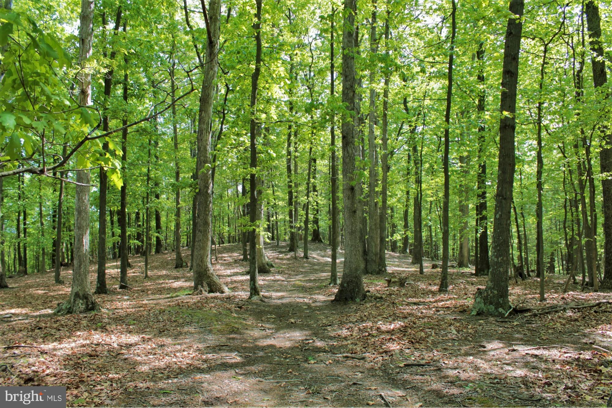 NONE AVAILABLE - Land