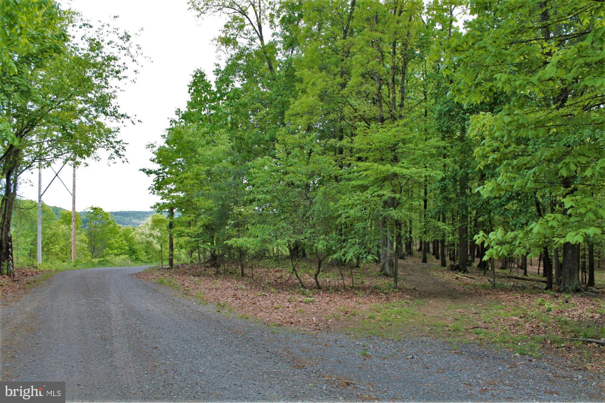 NONE AVAILABLE - Land