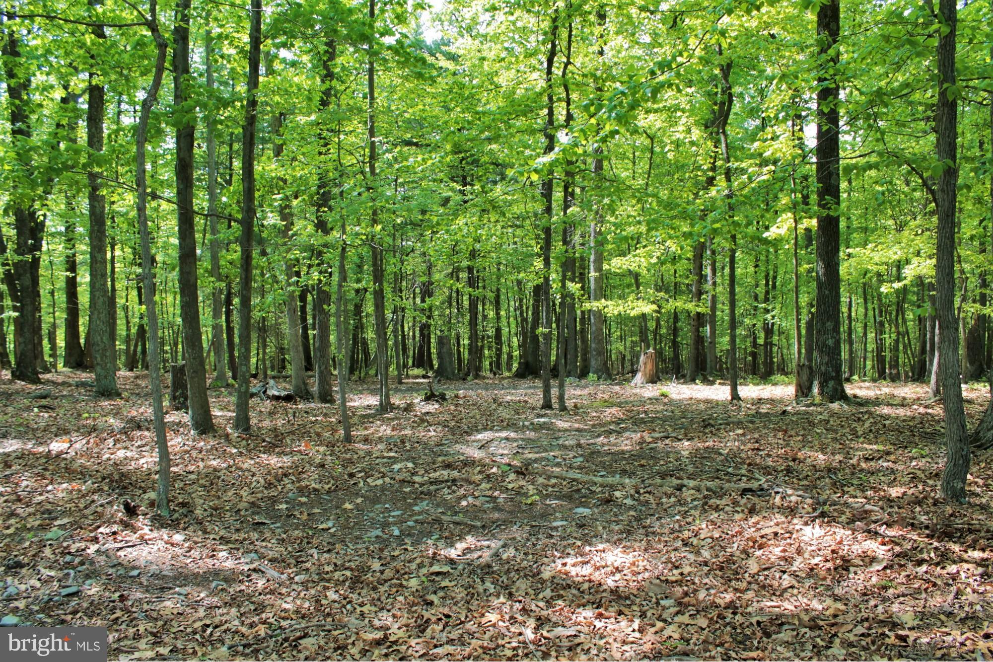 NONE AVAILABLE - Land