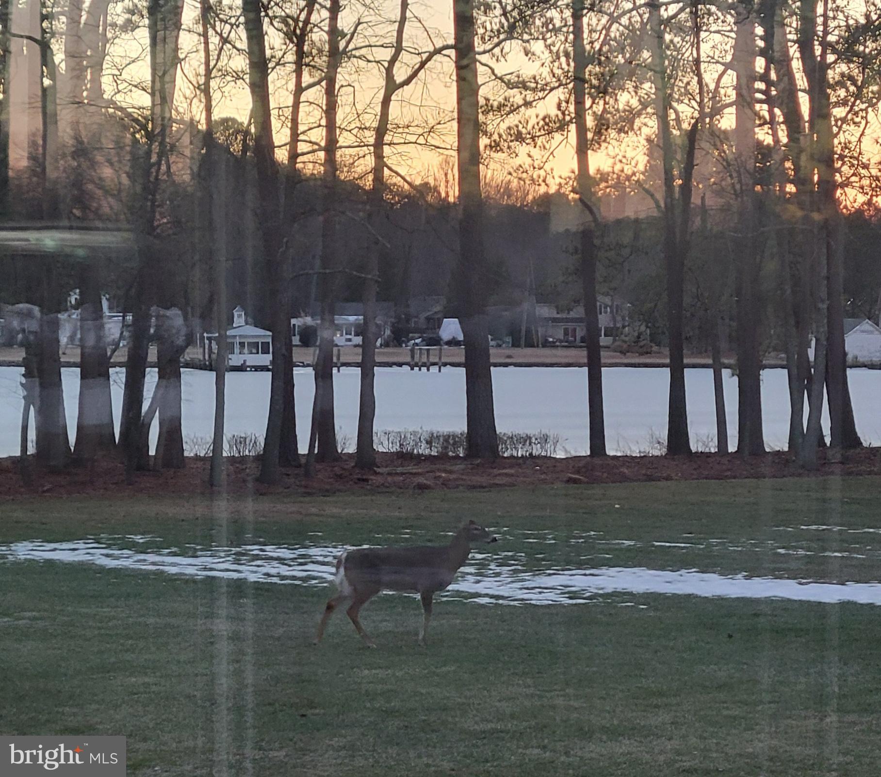 HOMEPORT - Residential