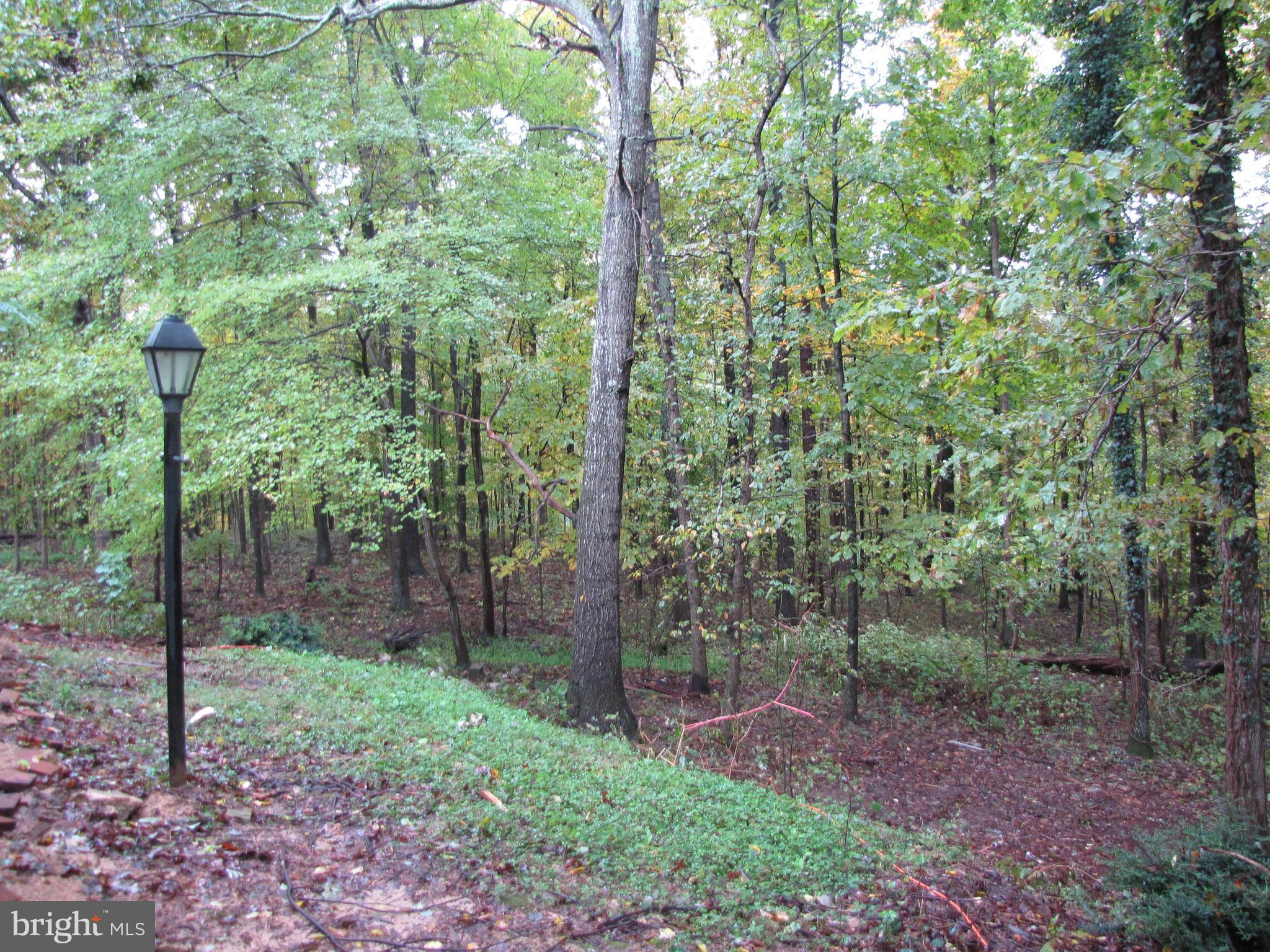 LAKE RIDGE - Residential