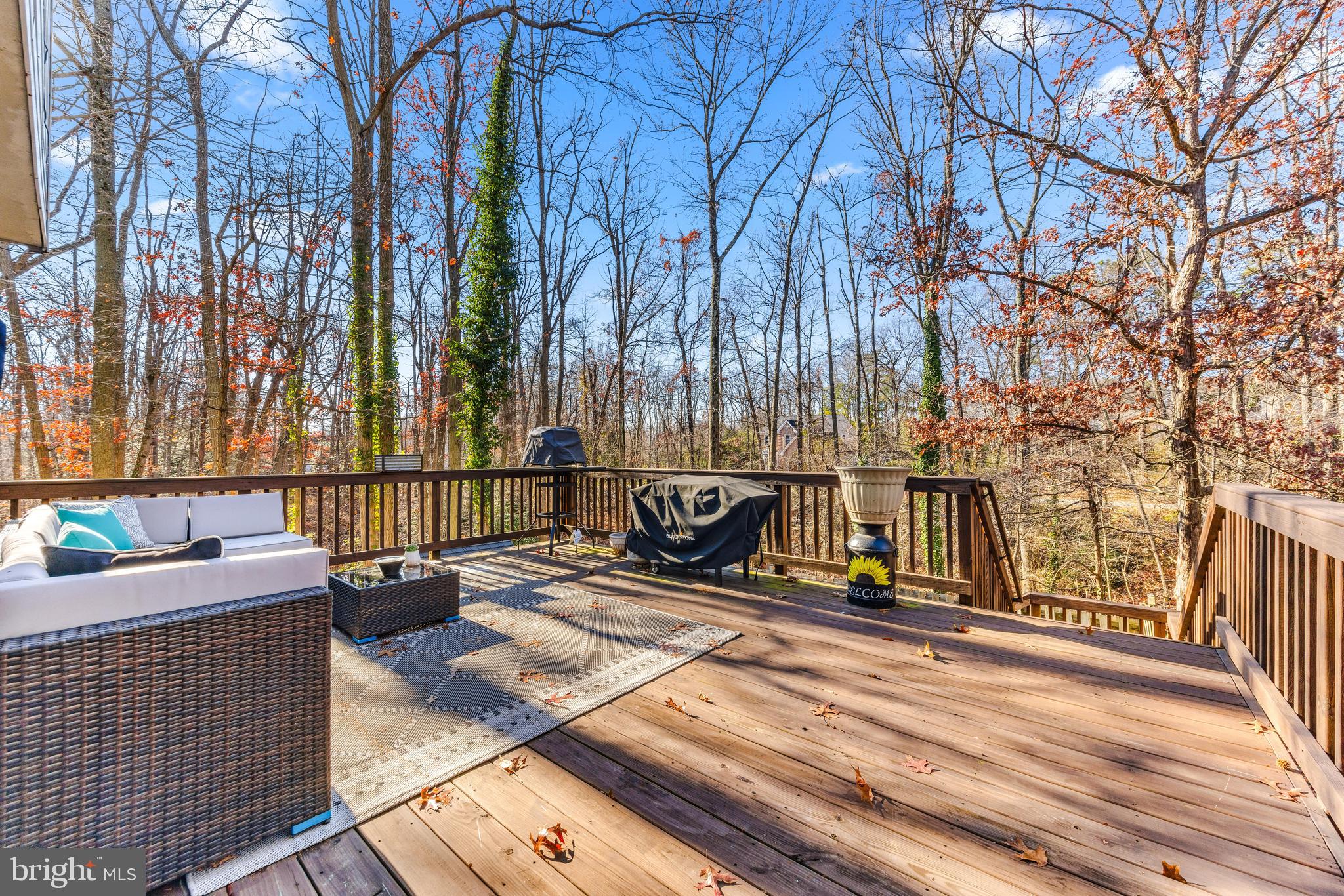 CHESTNUT HILL COVE - Residential