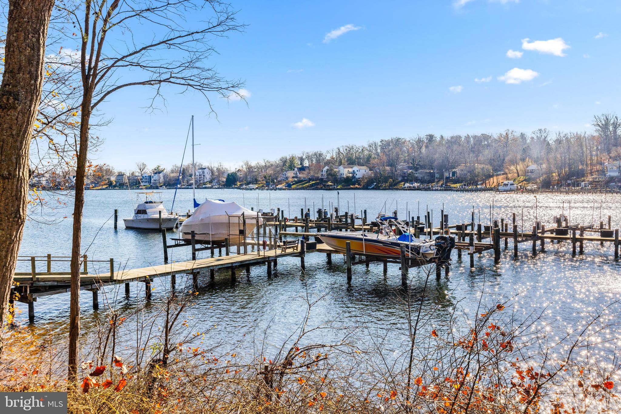 CHESTNUT HILL COVE - Residential