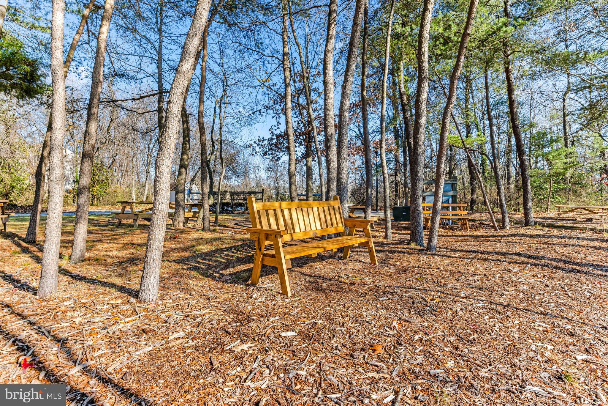 CHESTNUT HILL COVE - Residential