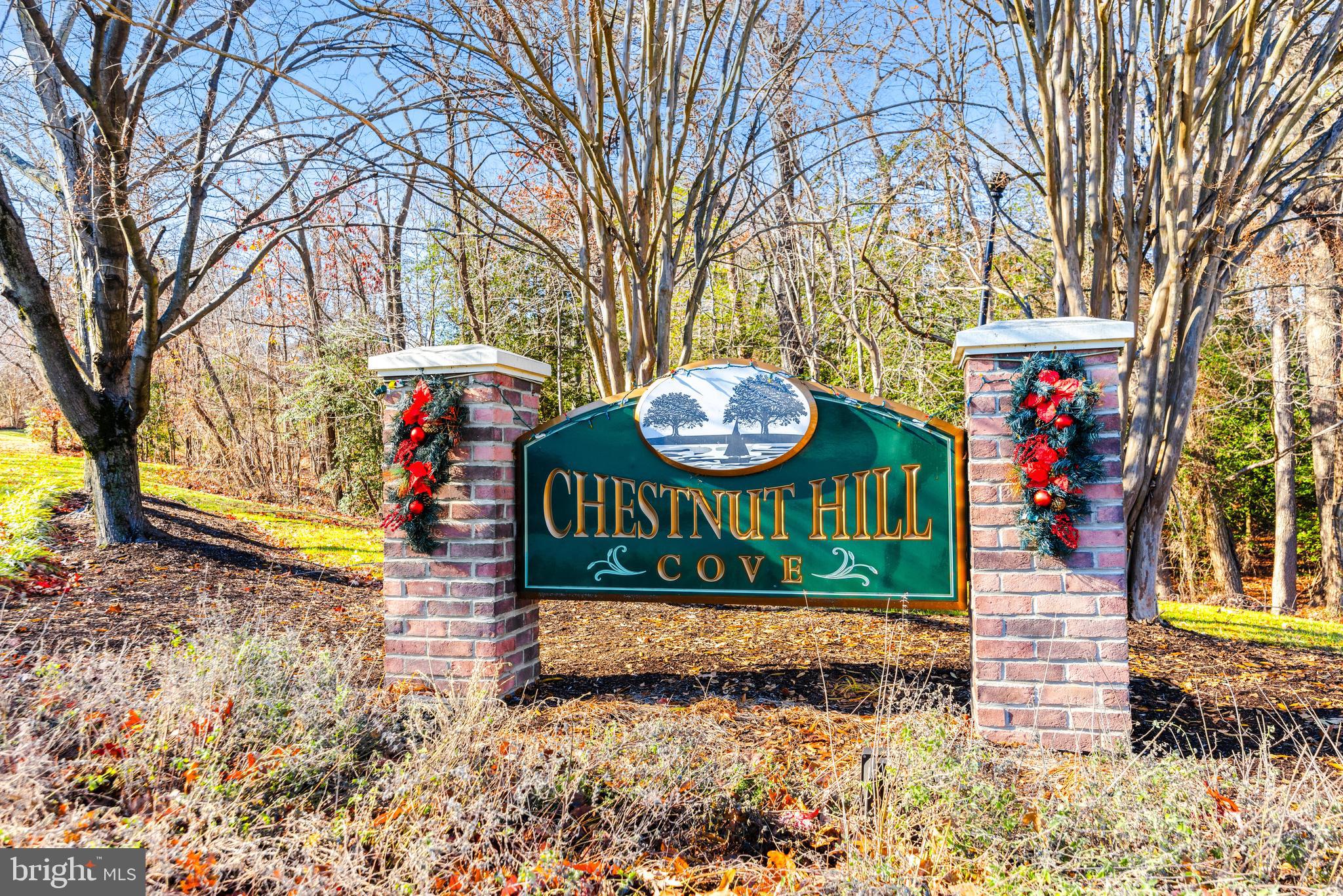 CHESTNUT HILL COVE - Residential