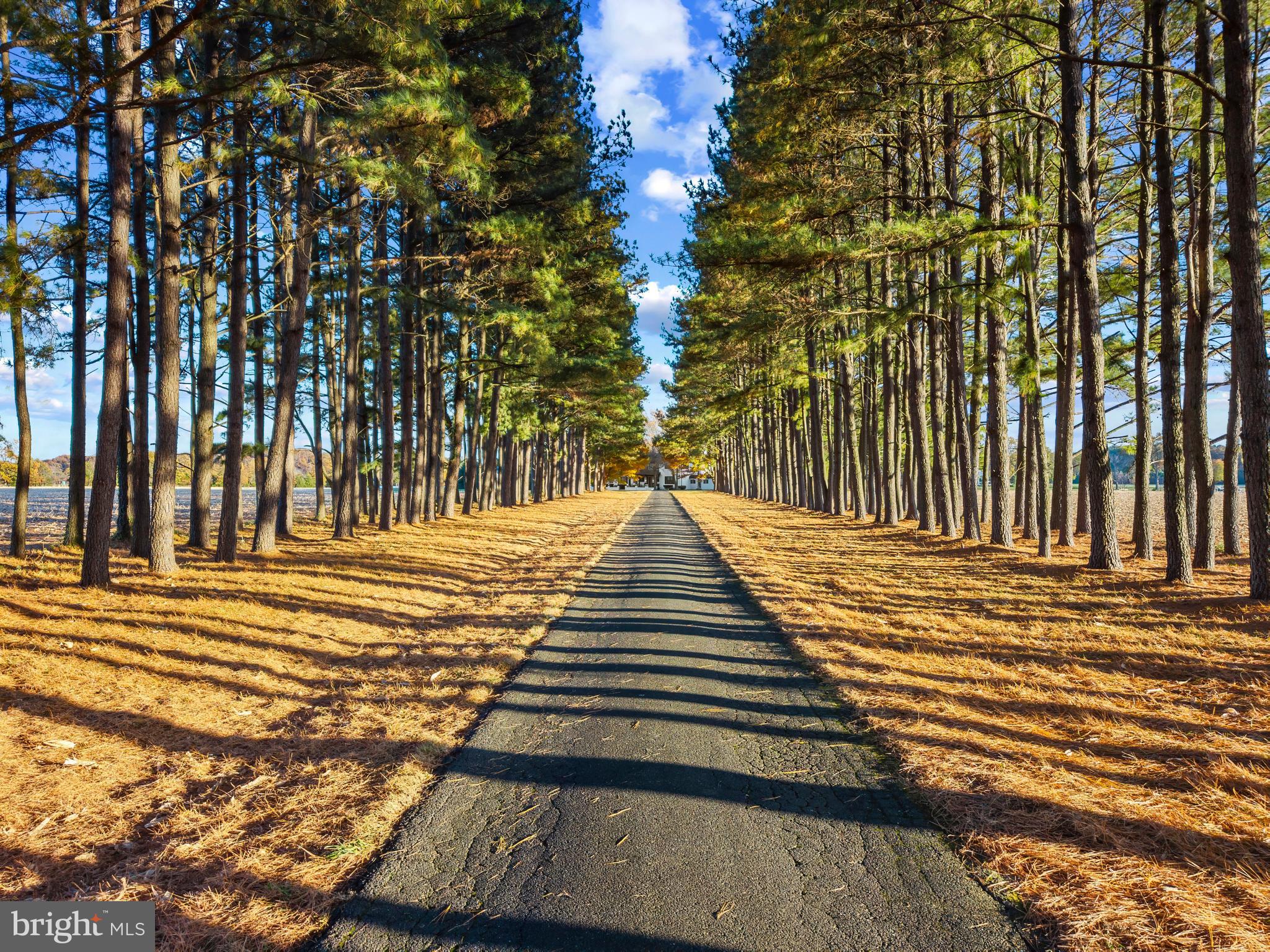 9170 HUNTING CREEK LANE