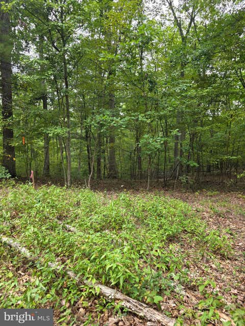 Vacant Land For Sale - Pink Dogwood Lane<br/> HEDGESVILLE, WV 25427