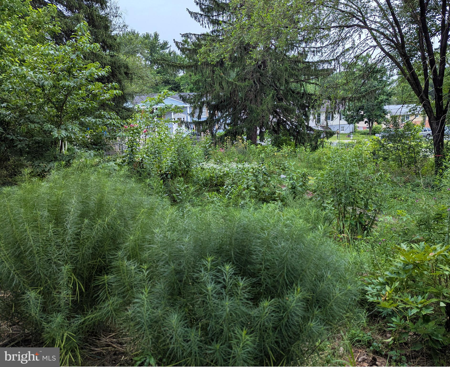 RIVERDALE - Residential