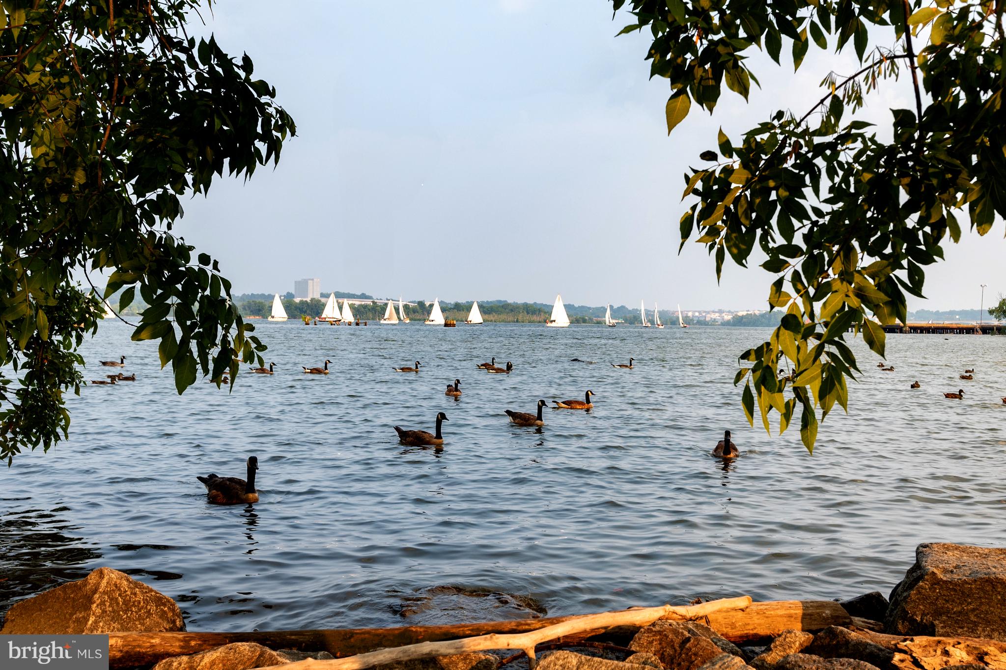 PORT ROYAL CONDOMINIUM - Residential