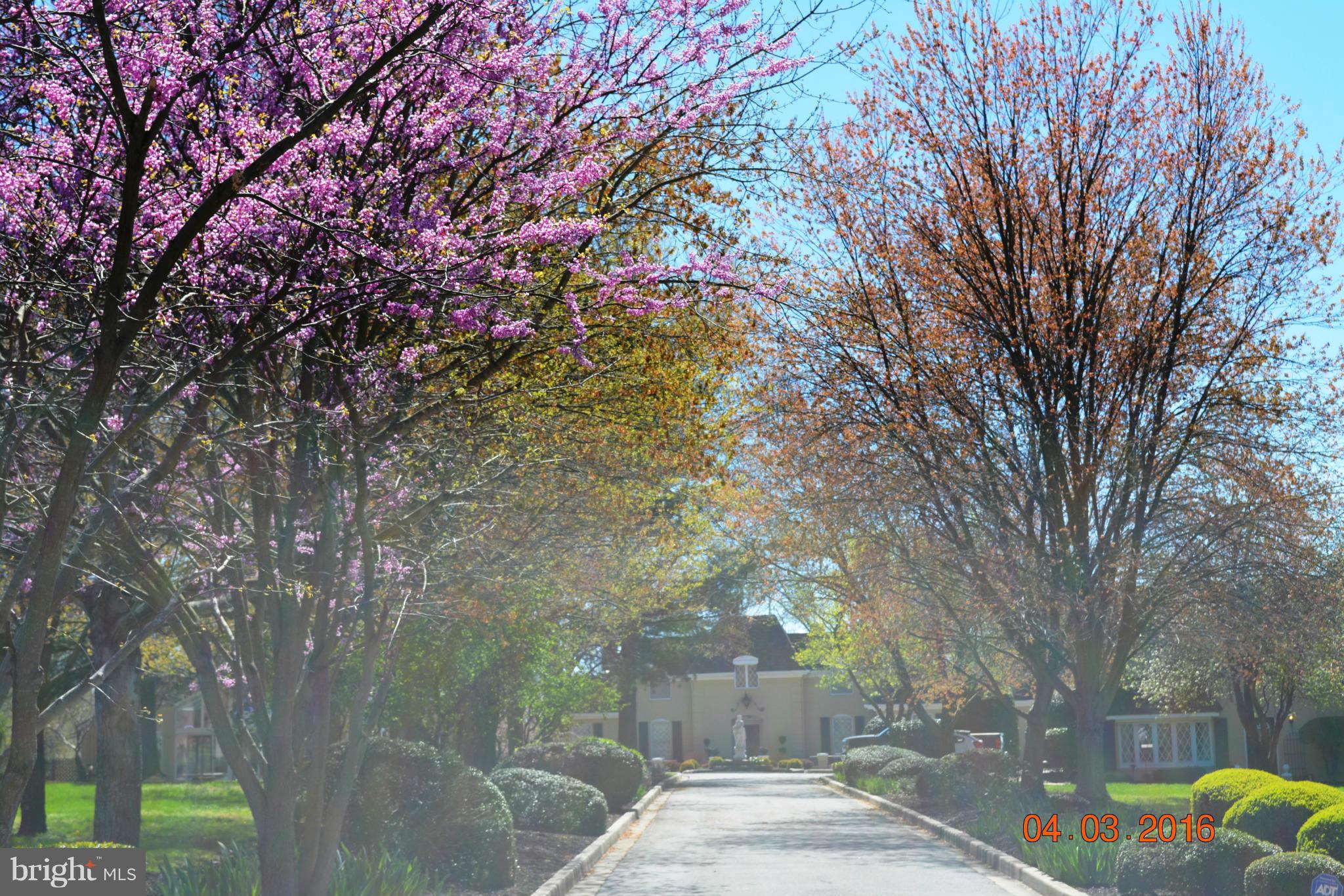 LOCUST GROVE ESTATES SUB - Residential