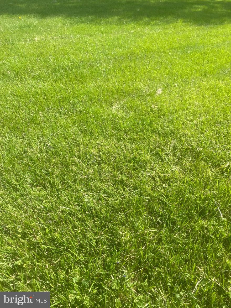 THE ONLY LOT LEFT IN THE PRESTIGIOUS AND EXCLUSIVE GATED VINEYARD COMMUNITY. THIS LOT IS PERFECT FOR SOMEONE WHO WANTS TO BUILD THE HOUSE OF THEIR DREAMS. THE SELLER ALREADY HAS THE DRAWING FOR 9000-10,000 SQUARE FEET BUILDING. YOU CAN USE THE SELLERS DRAWINGS, MODIFY AND OR DESIGN YOUR OWN. 
LOT HAS APPROVED WATER SOURCE AND SEPTIC. PASSED PERC TES T AND WILL EASILY APPROVE FOR STARTING TO BUILD. SELLER ALREADY TOOK CARE OF MOST OF THE LEG WORK. ALL THAT IS NEEDED IS TO PAY A BOND DEPENDING ON THE SIZE OF HOUSE BEING BUILT AND OTHER ANCILLIARY STRUCTURES. LIKE SWIMING POOL ETC. LOT IS AT THE INTERSECTION OF IRON STONE RD AND TURNING LEAF LANE.  USE YOUR IMAGINATION AND BUILD YOUR DREAM HOME