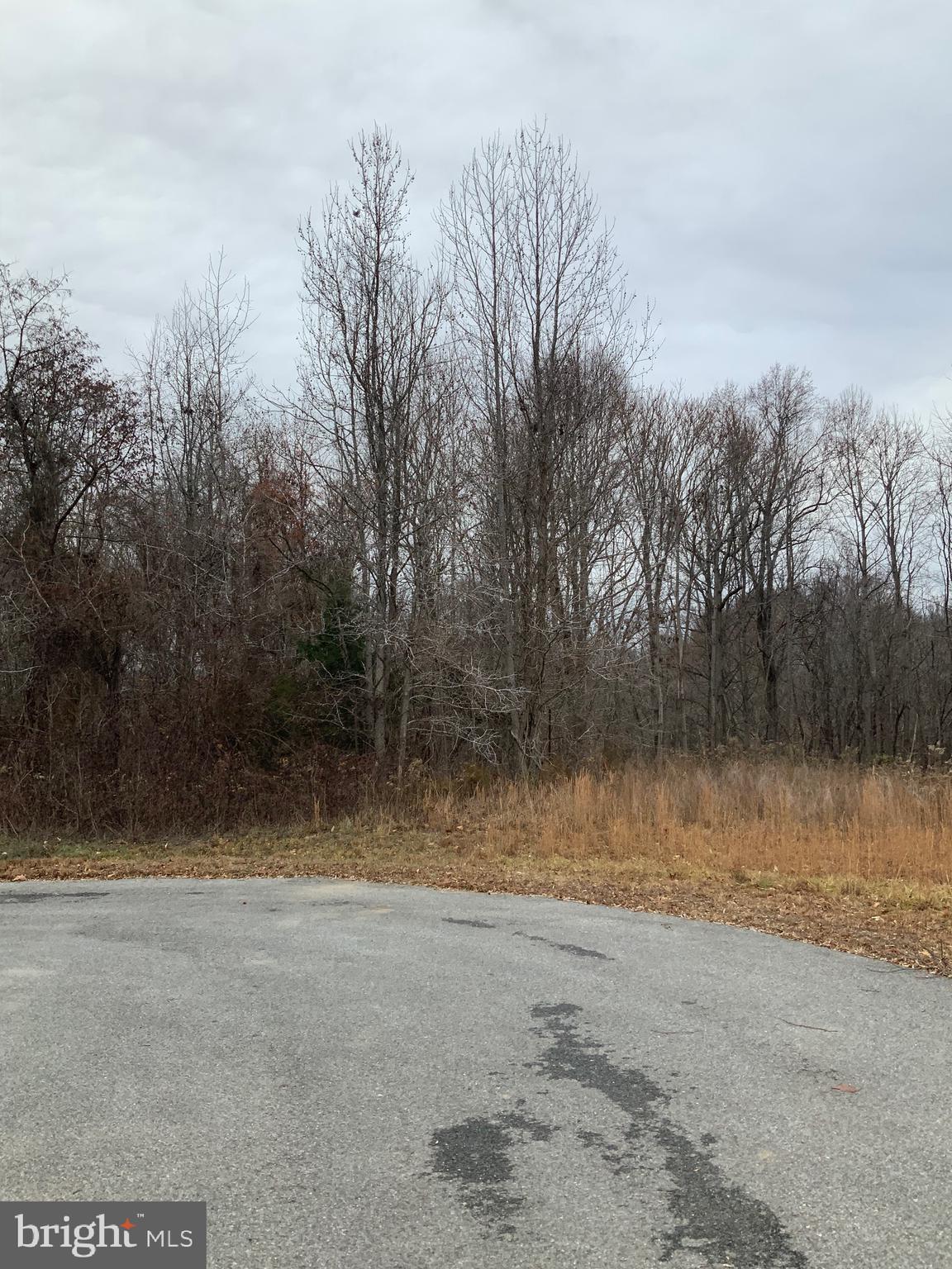 8087 WELCOME ORCHARD PLACE