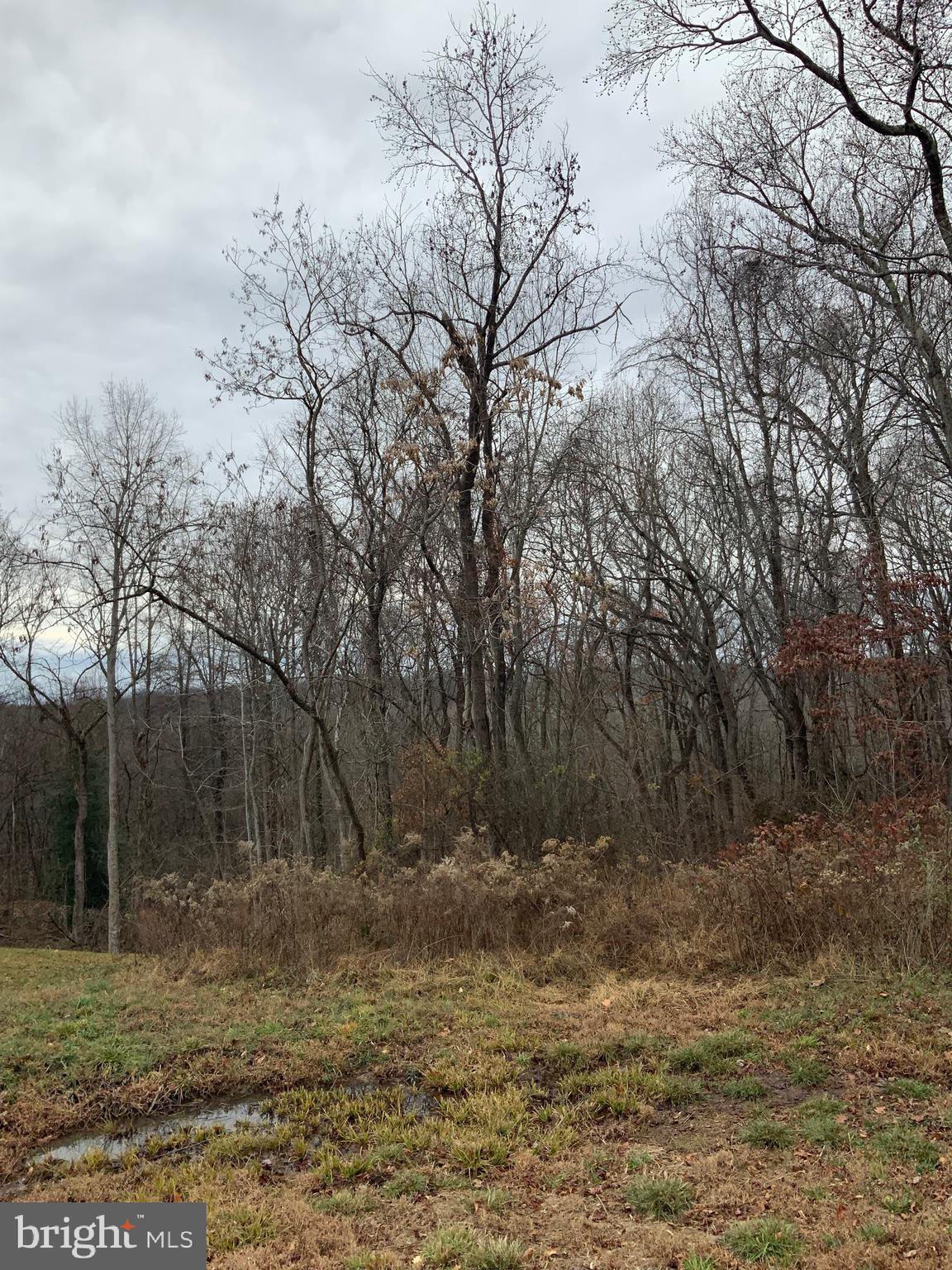 8087 WELCOME ORCHARD PLACE