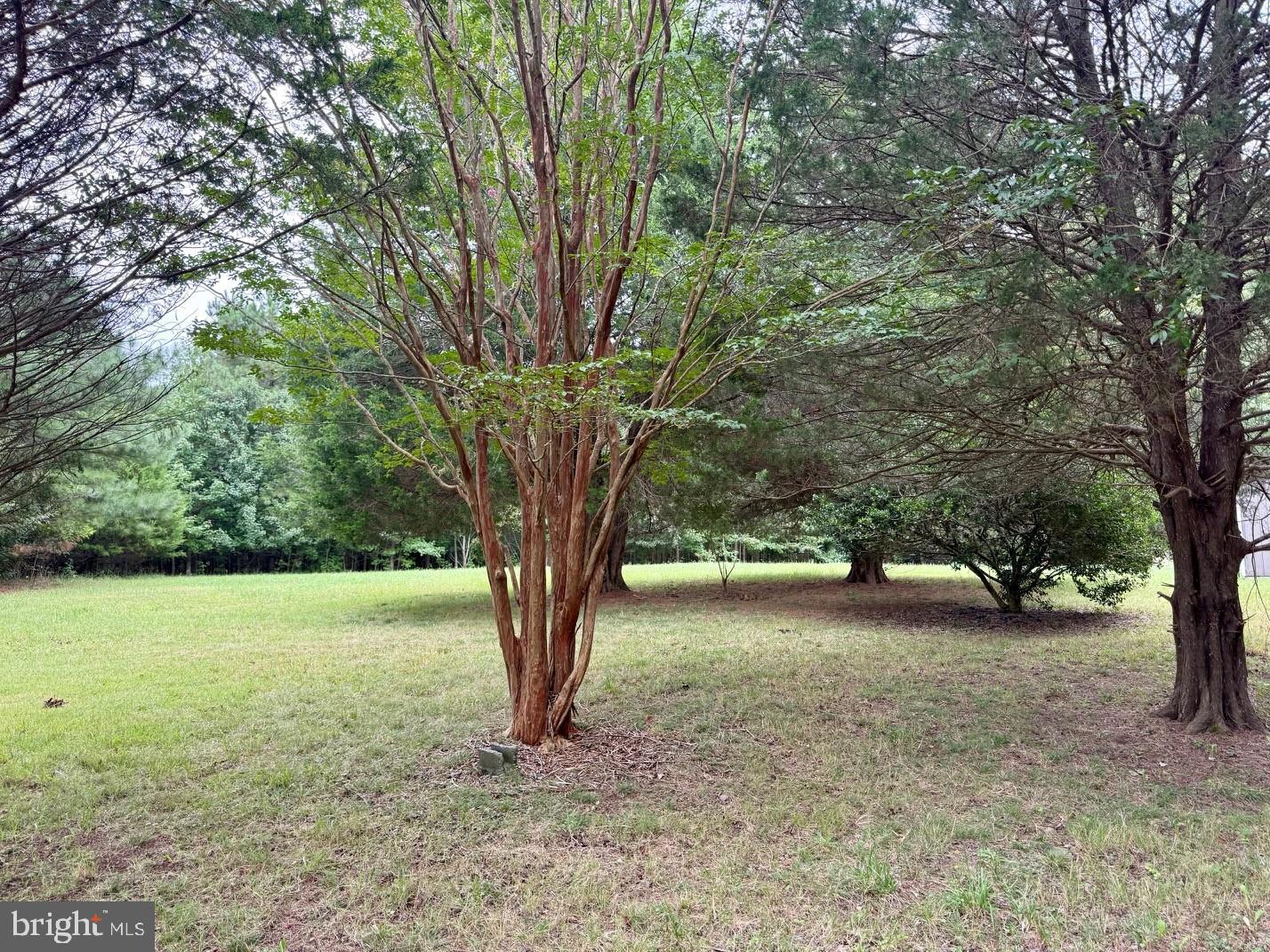 11850 HG TRUEMAN ROAD