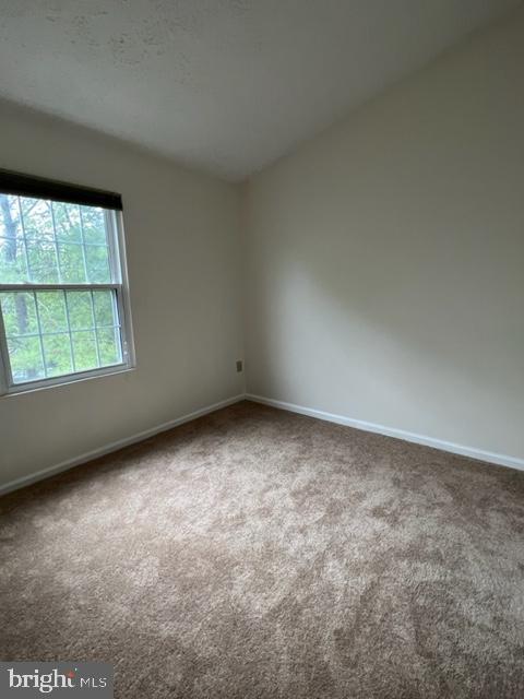 AMBERFIELD - Residential Lease