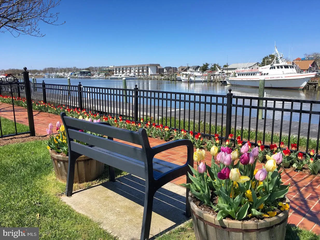 Lewes, Delaware 19958, United States, 6 Bedrooms Bedrooms, ,4 BathroomsBathrooms,Residential,Active,8693