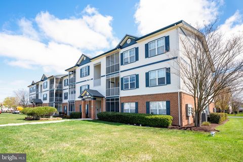 17046 N BRANDT STREET 2205 LEWES DE 19958