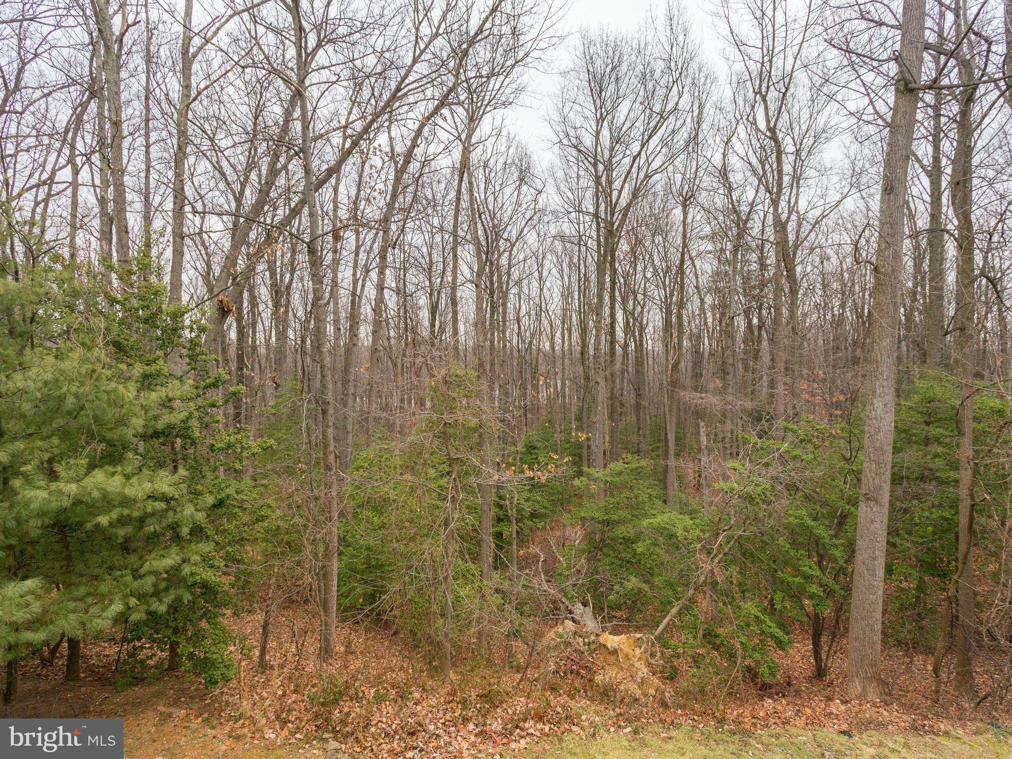 KINGSTOWNE - Residential