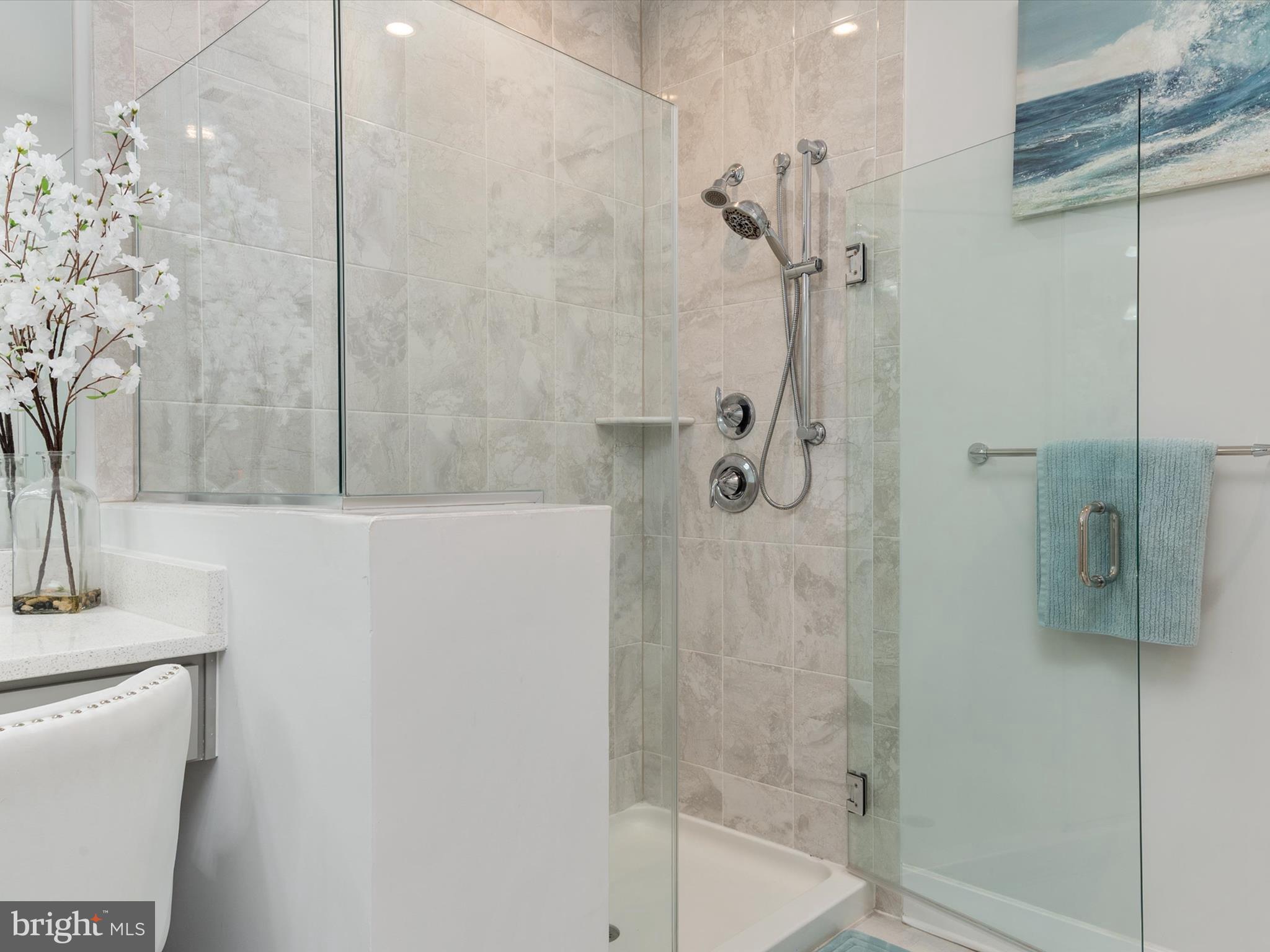 FOUR SEASONS AT KENT ISLAND - Residential