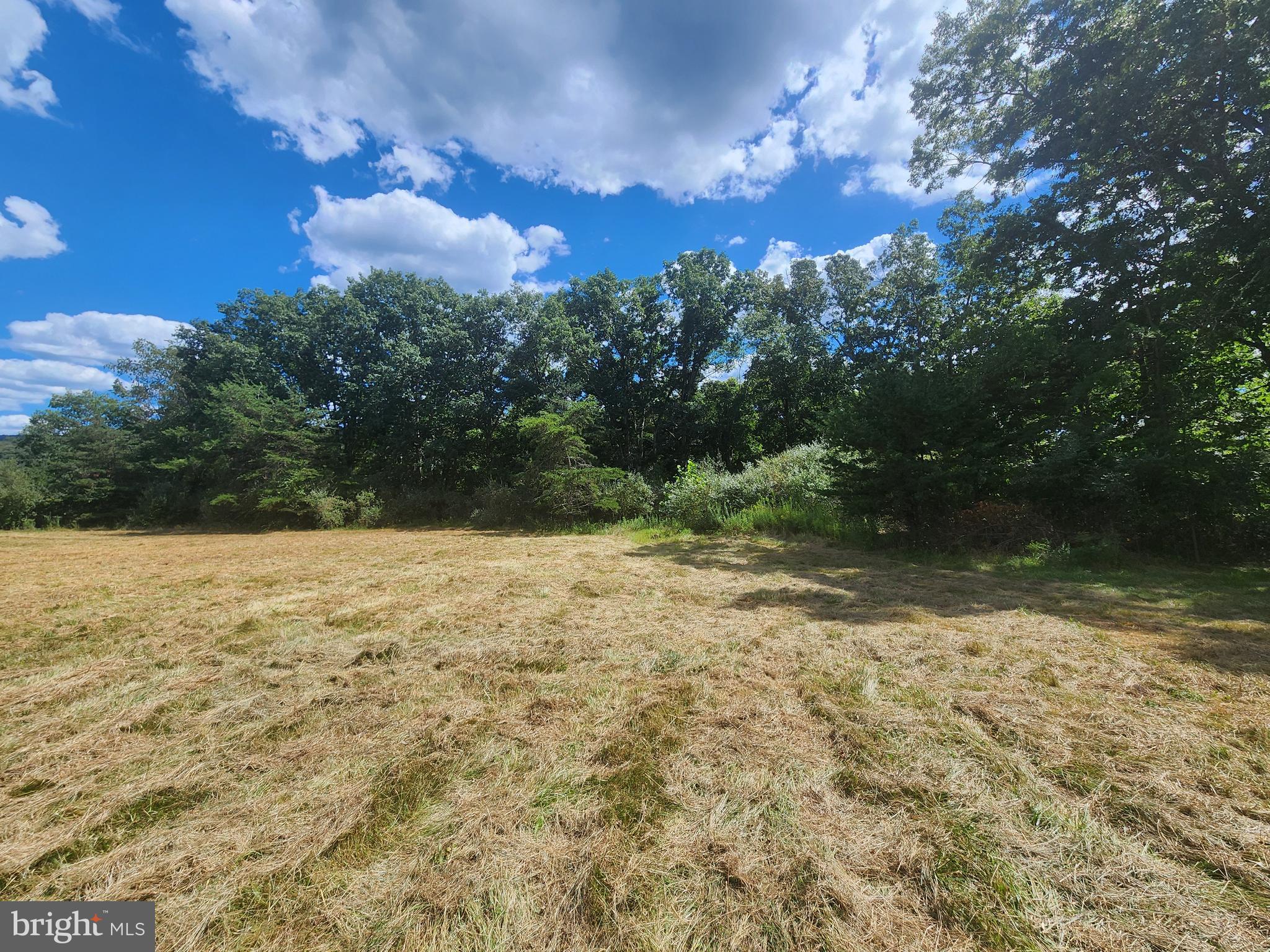 2.33 ACRES - AA ROGERS ROAD