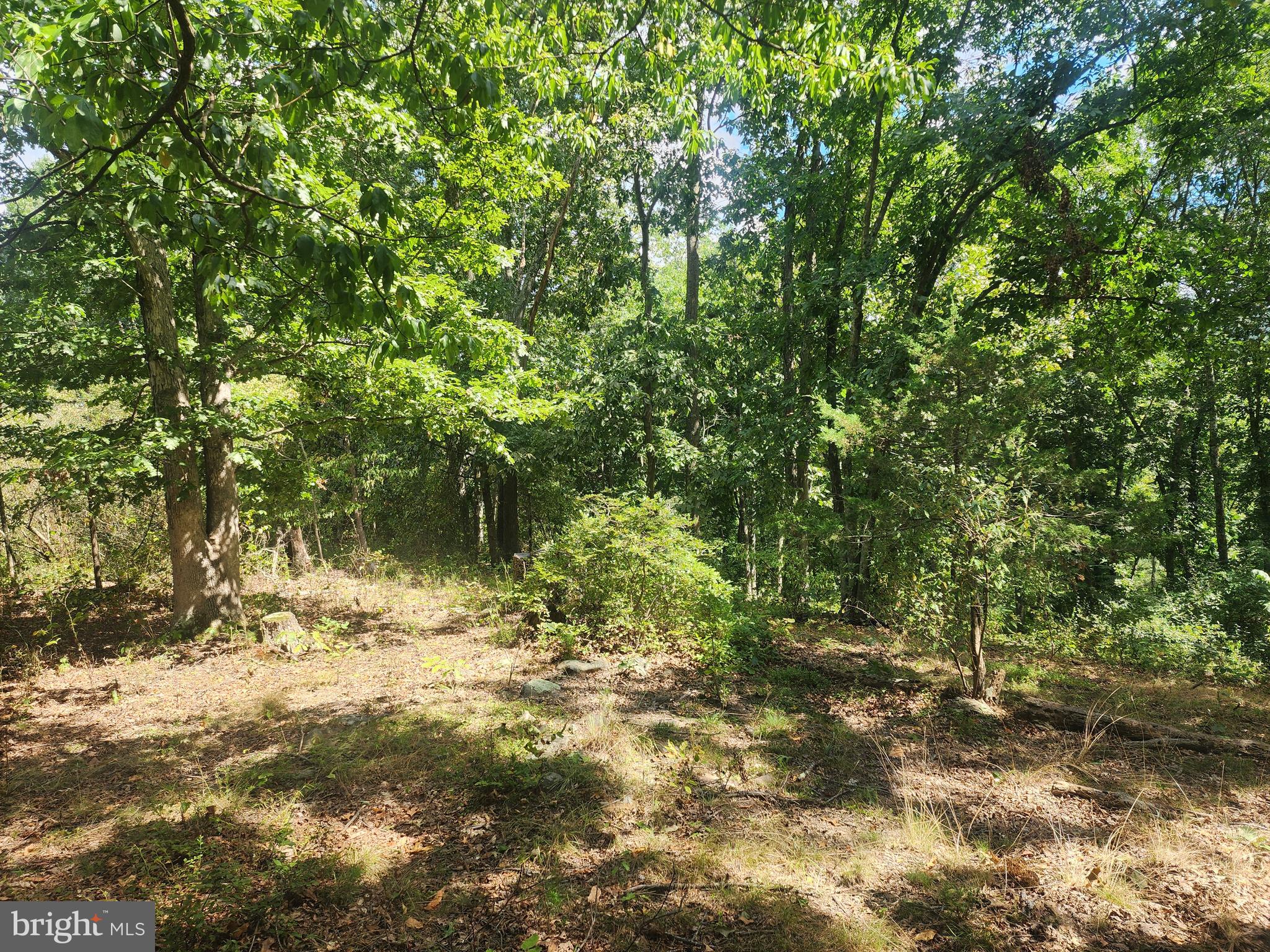 NONE AVAILABLE - Land