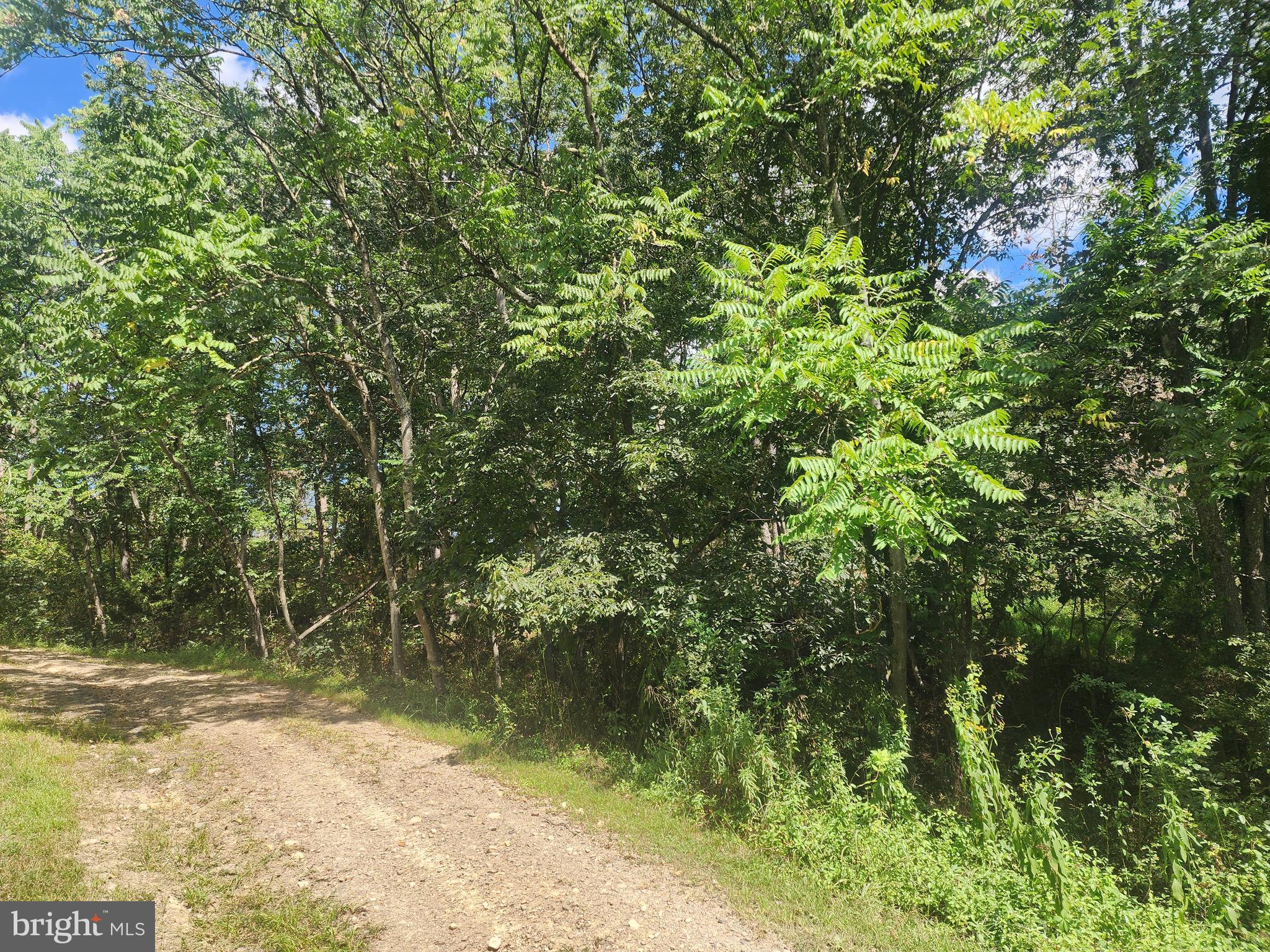 NONE AVAILABLE - Land