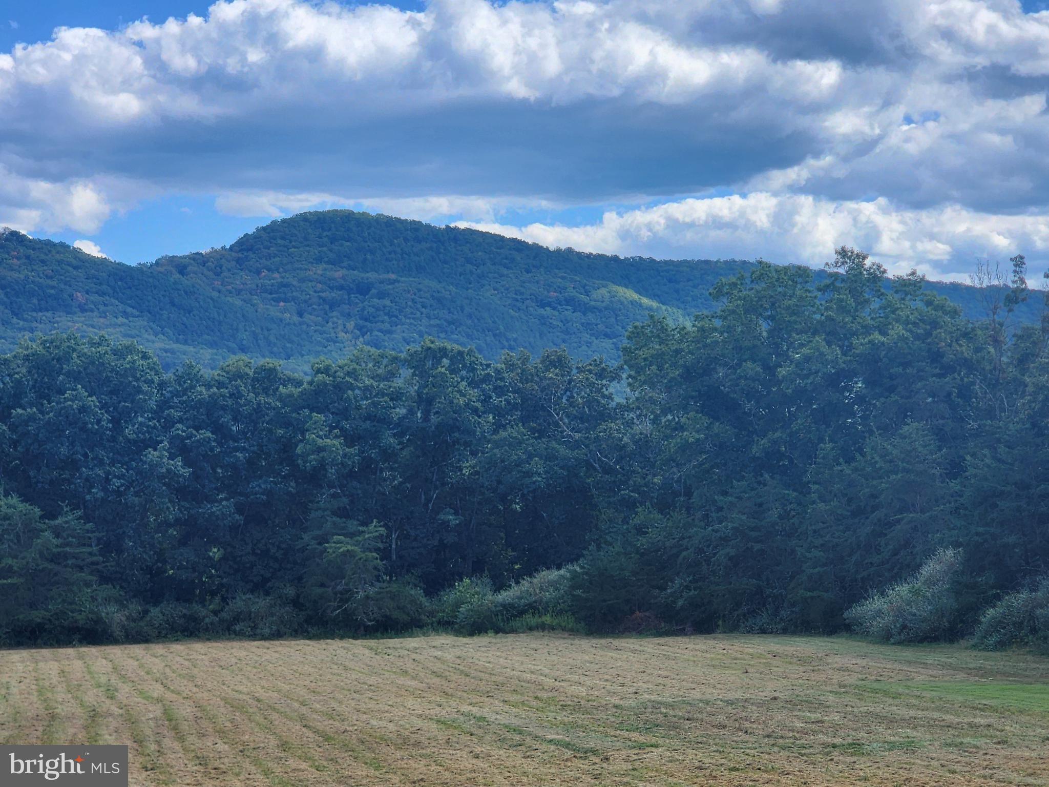 NONE AVAILABLE - Land