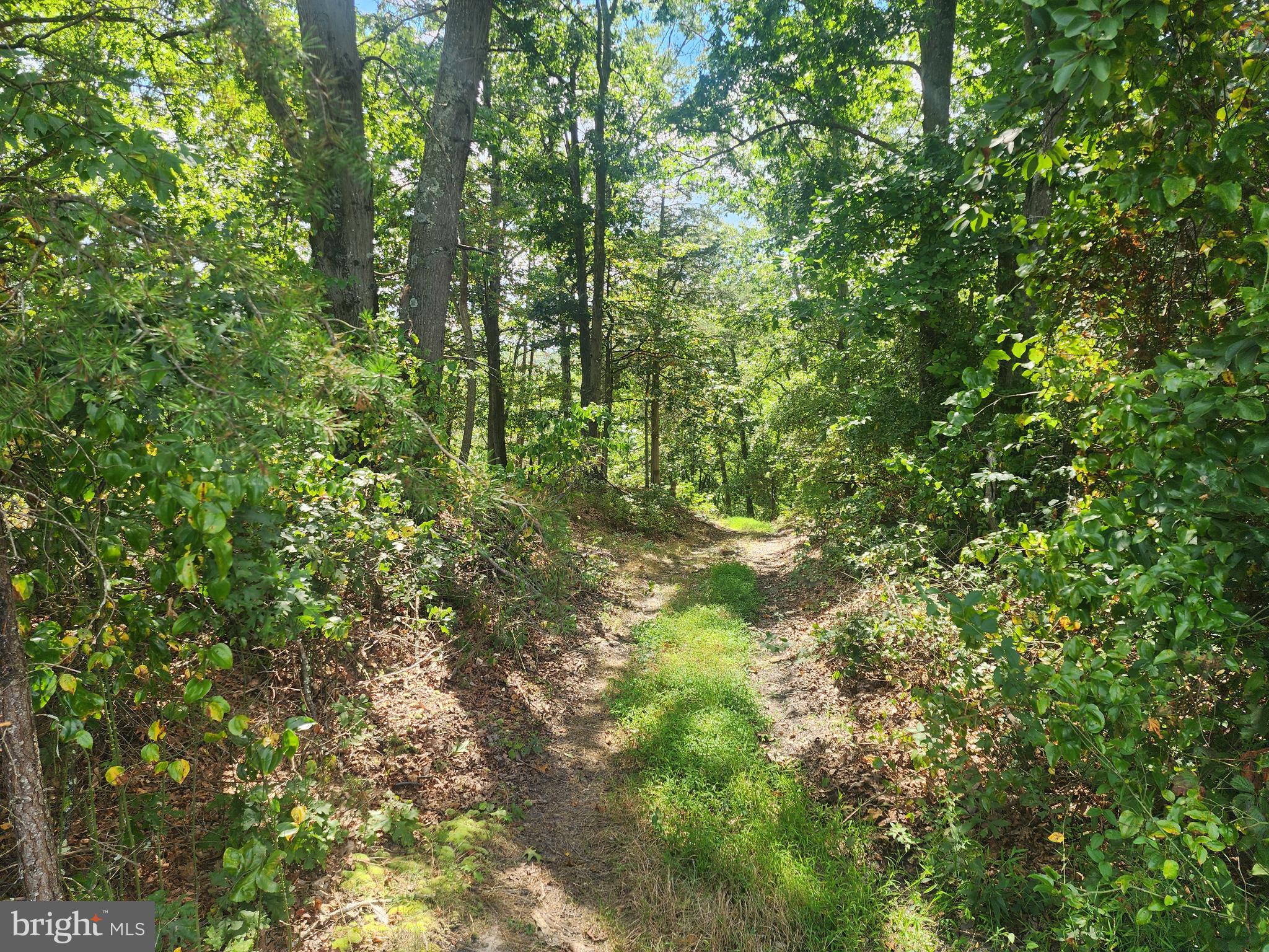 2.33 ACRES - AA ROGERS ROAD