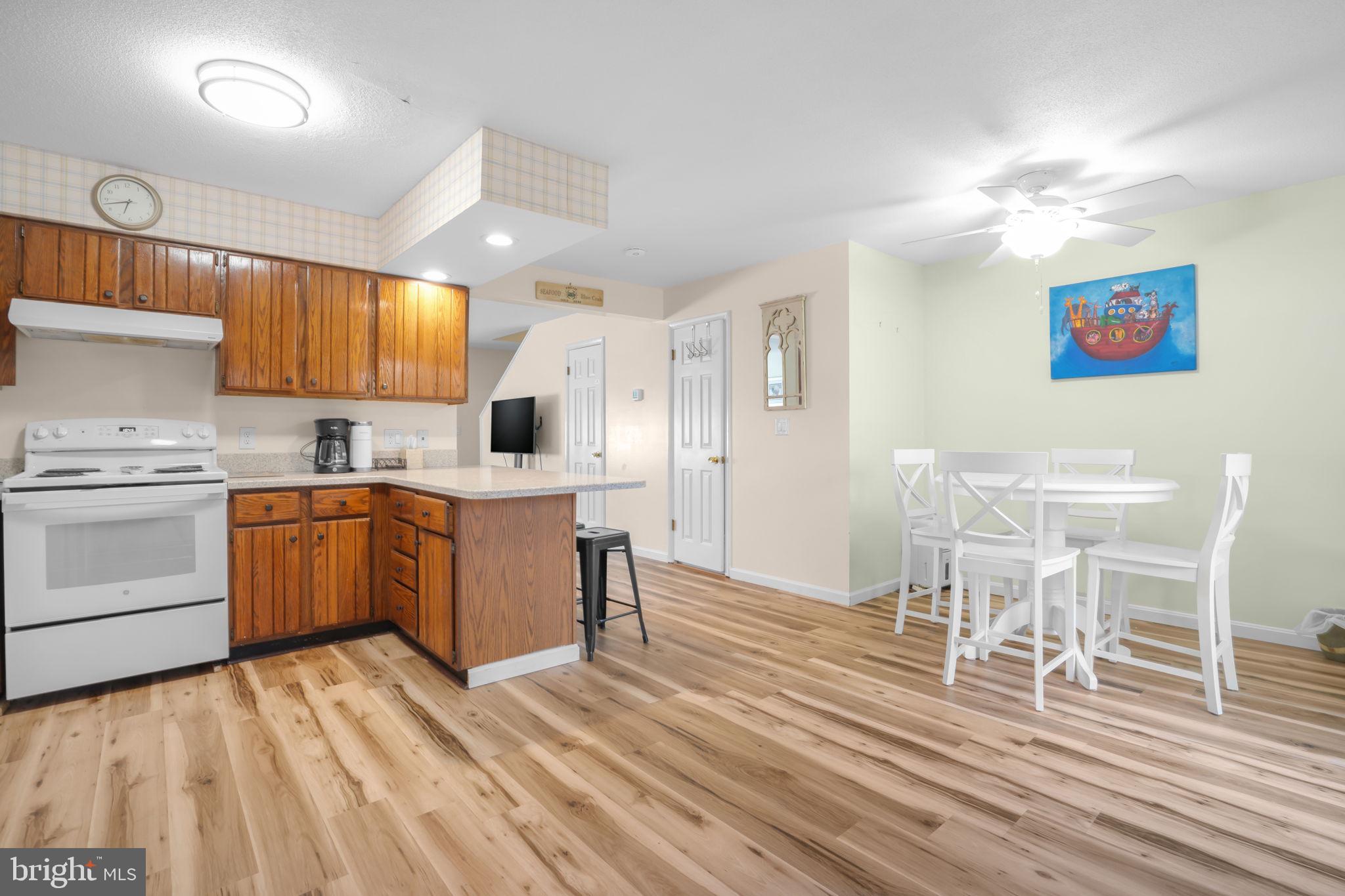 CHINCOTEAGUE - Residential