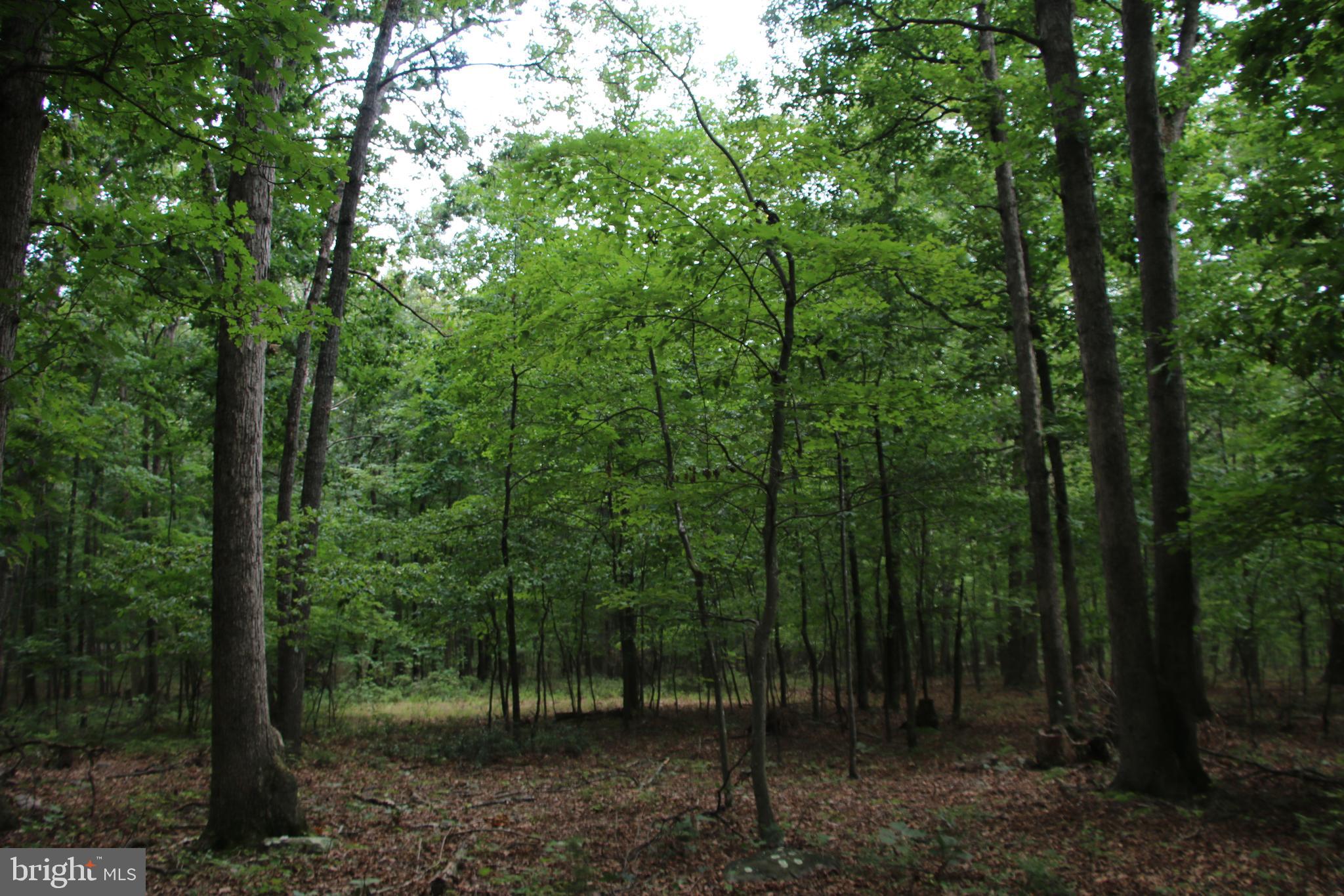 HABRON HOLLOW ROAD