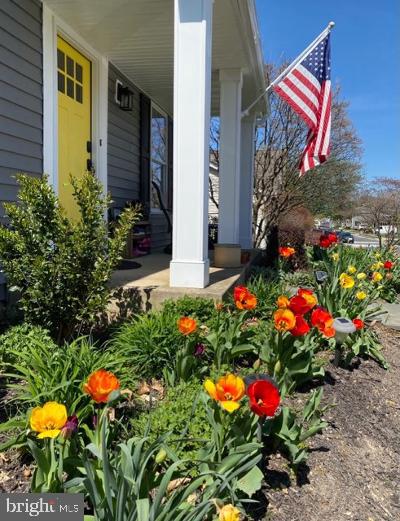 BRITINAY HILL - Residential