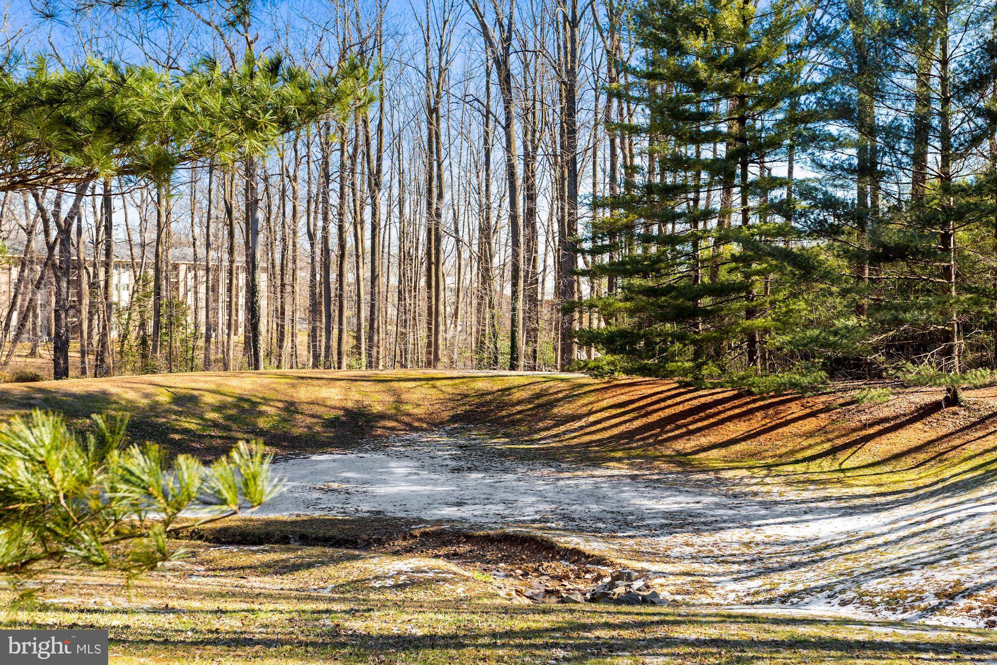 RENAISSANCE AT TYSONS - Residential