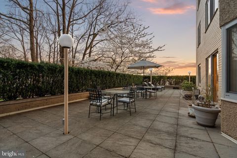 2801 NEW MEXICO AVENUE NW 204 WASHINGTON DC 20007