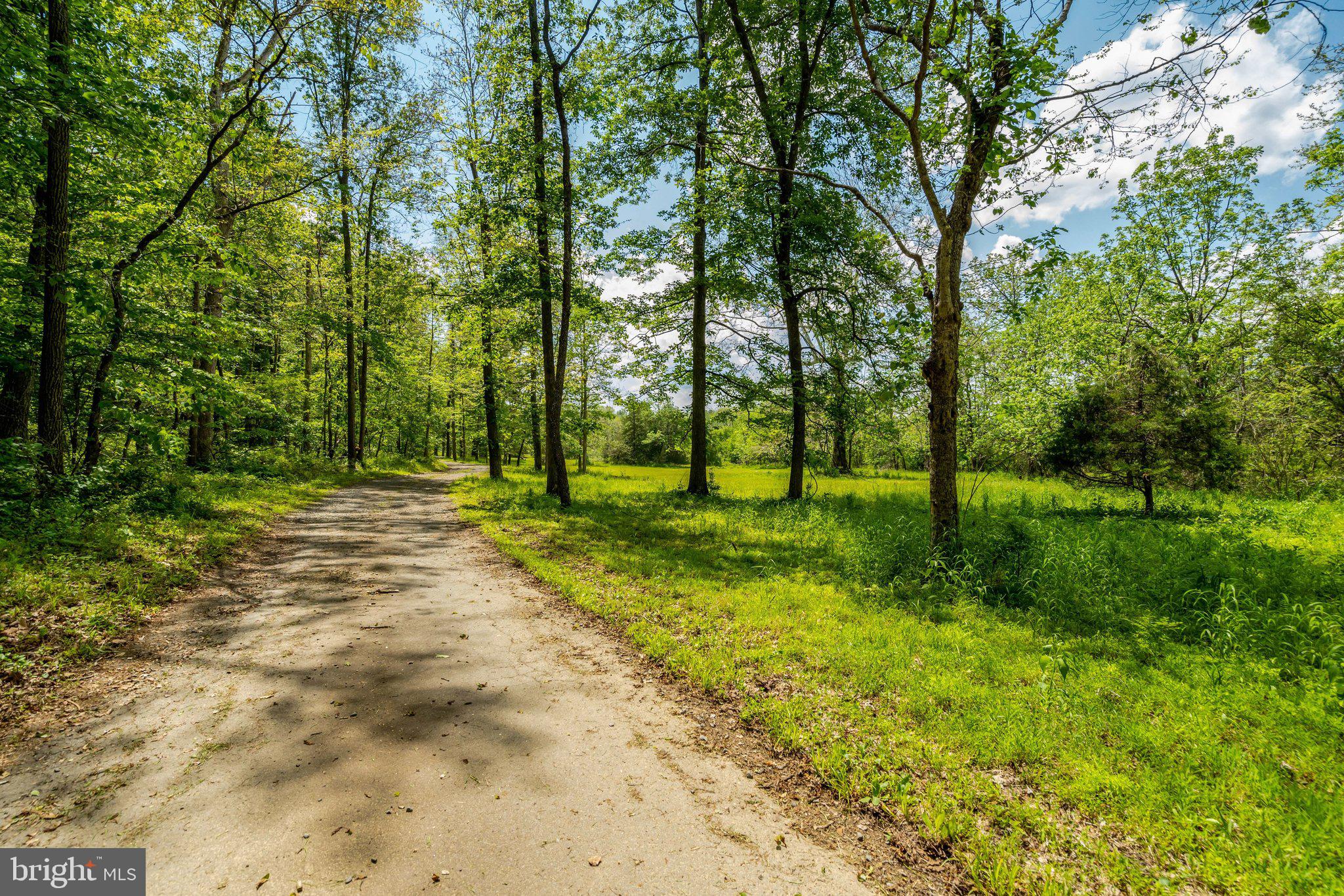 9253 CLIFF MILLS ROAD HORSE FACILITY