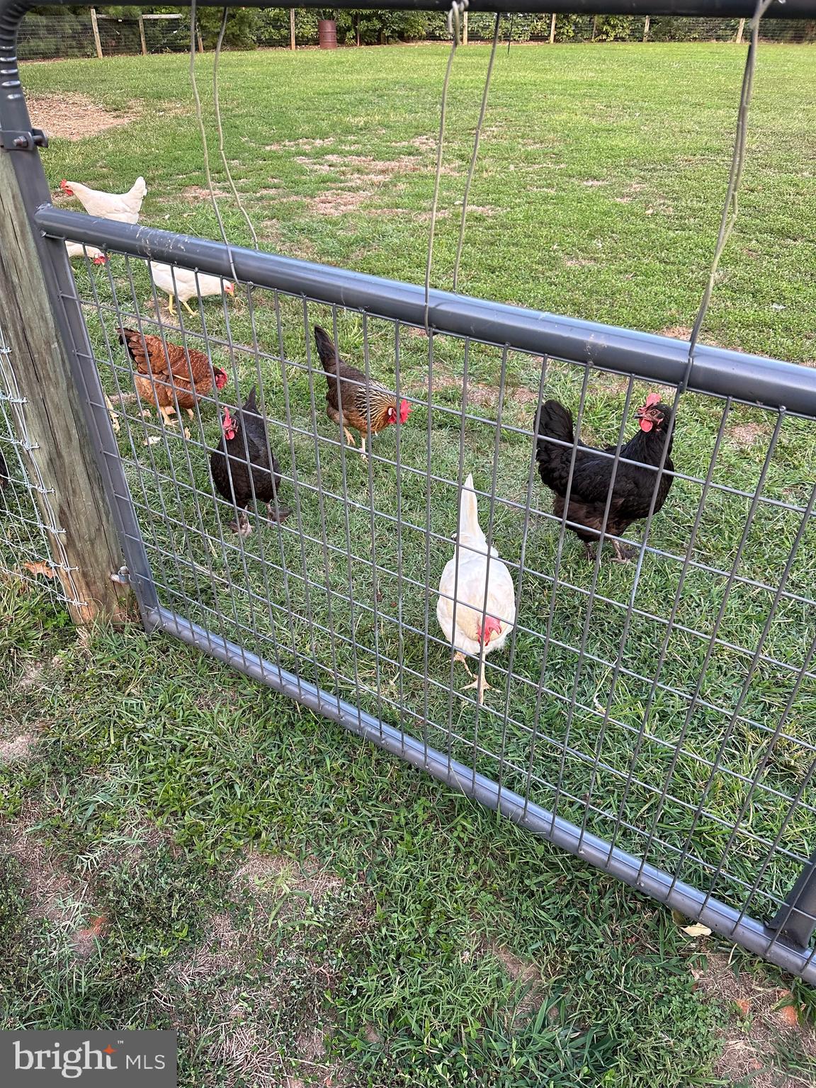 UNIONVILLE CROSSING - Residential