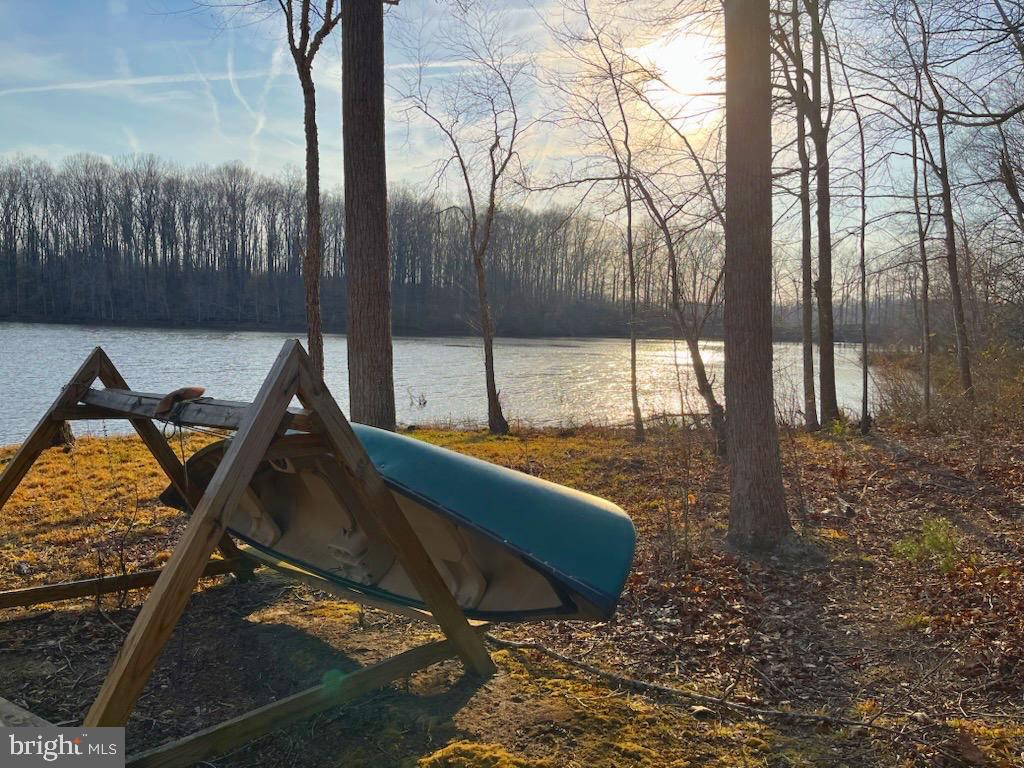 10910 CINNAMON TEAL DRIVE