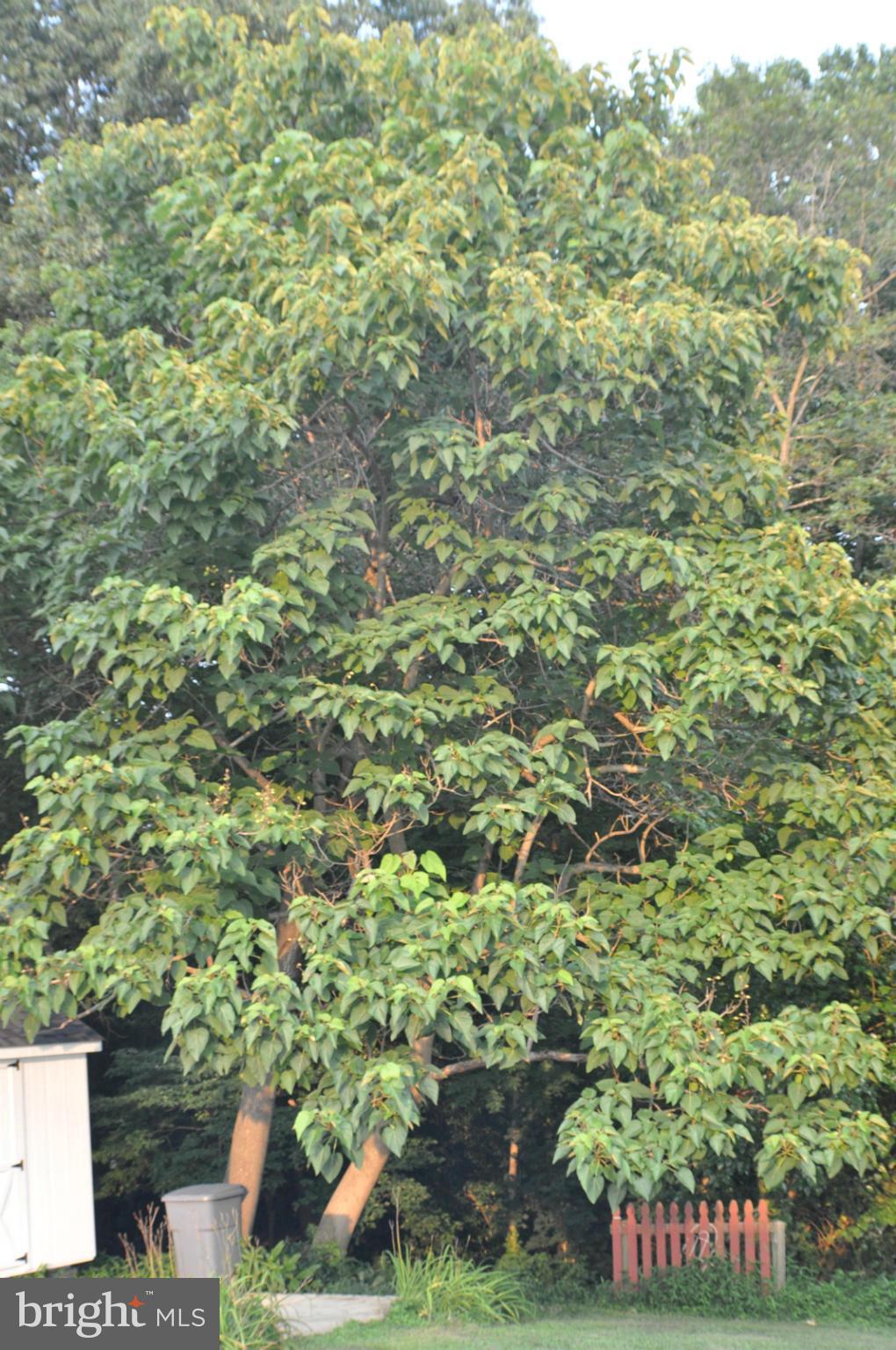 NEWTOWN VILLAGE SUB - Residential