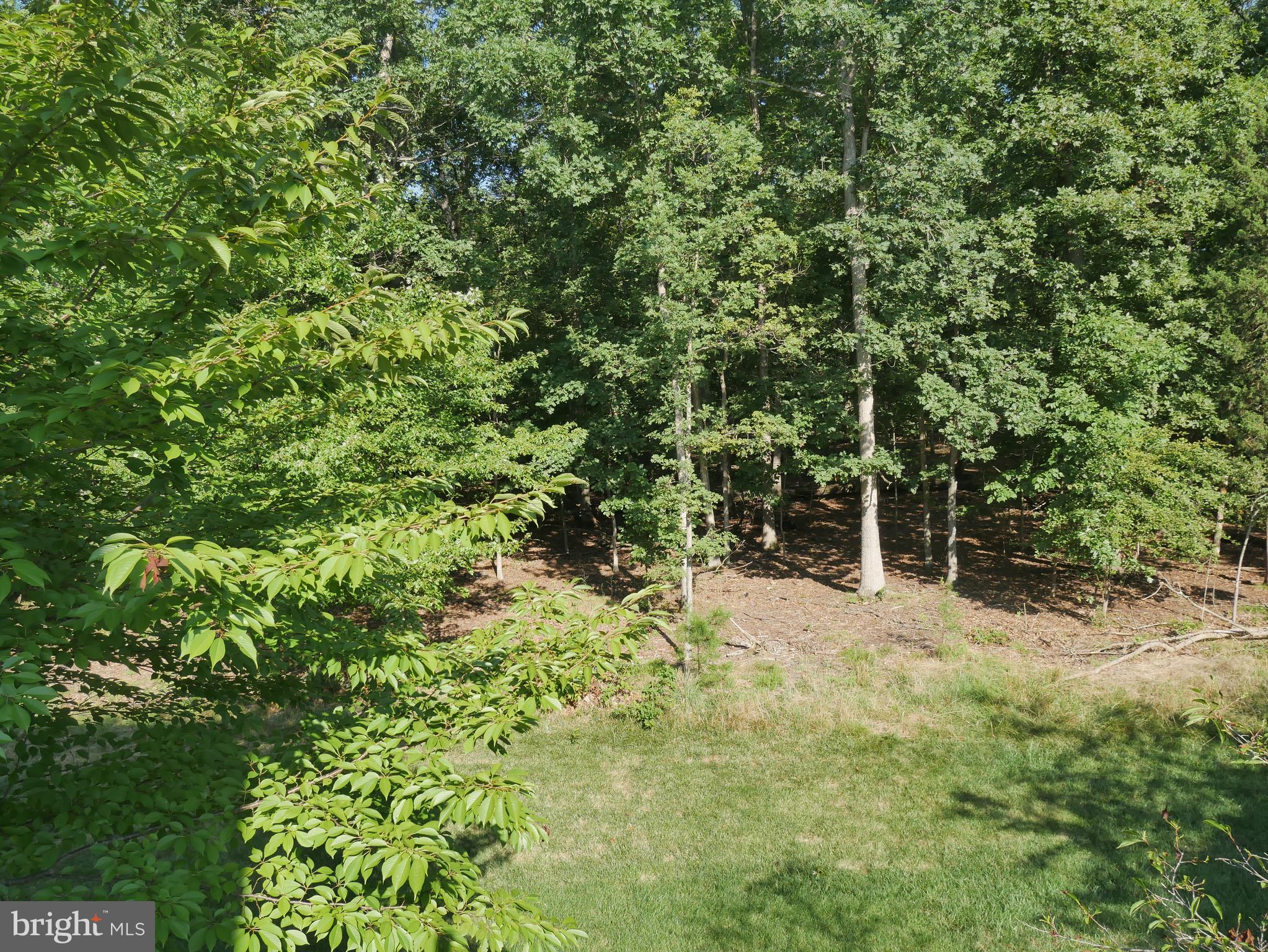 BRAMBLETON BRANDT PROPERTY - Residential Lease