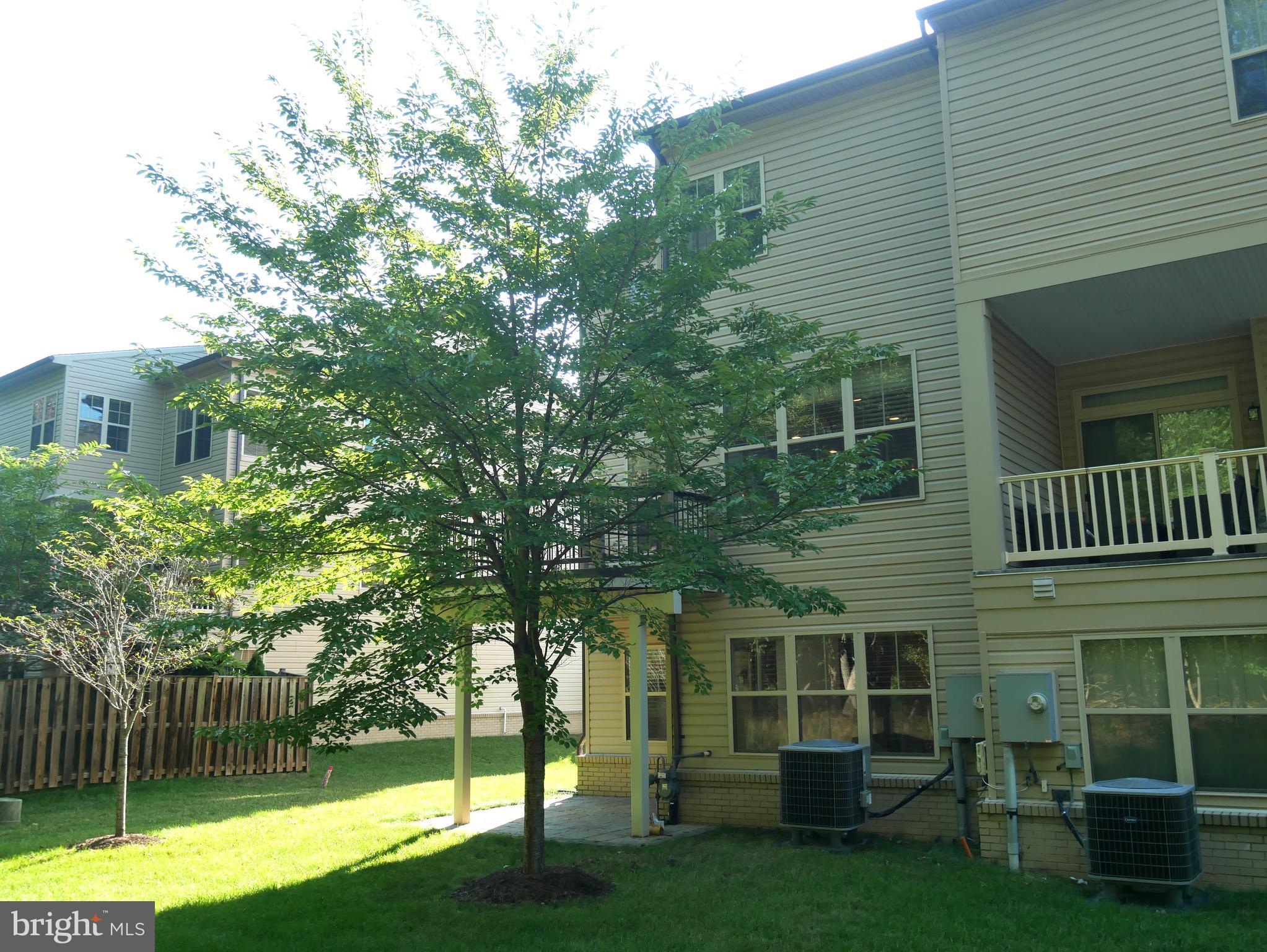 BRAMBLETON BRANDT PROPERTY - Residential Lease