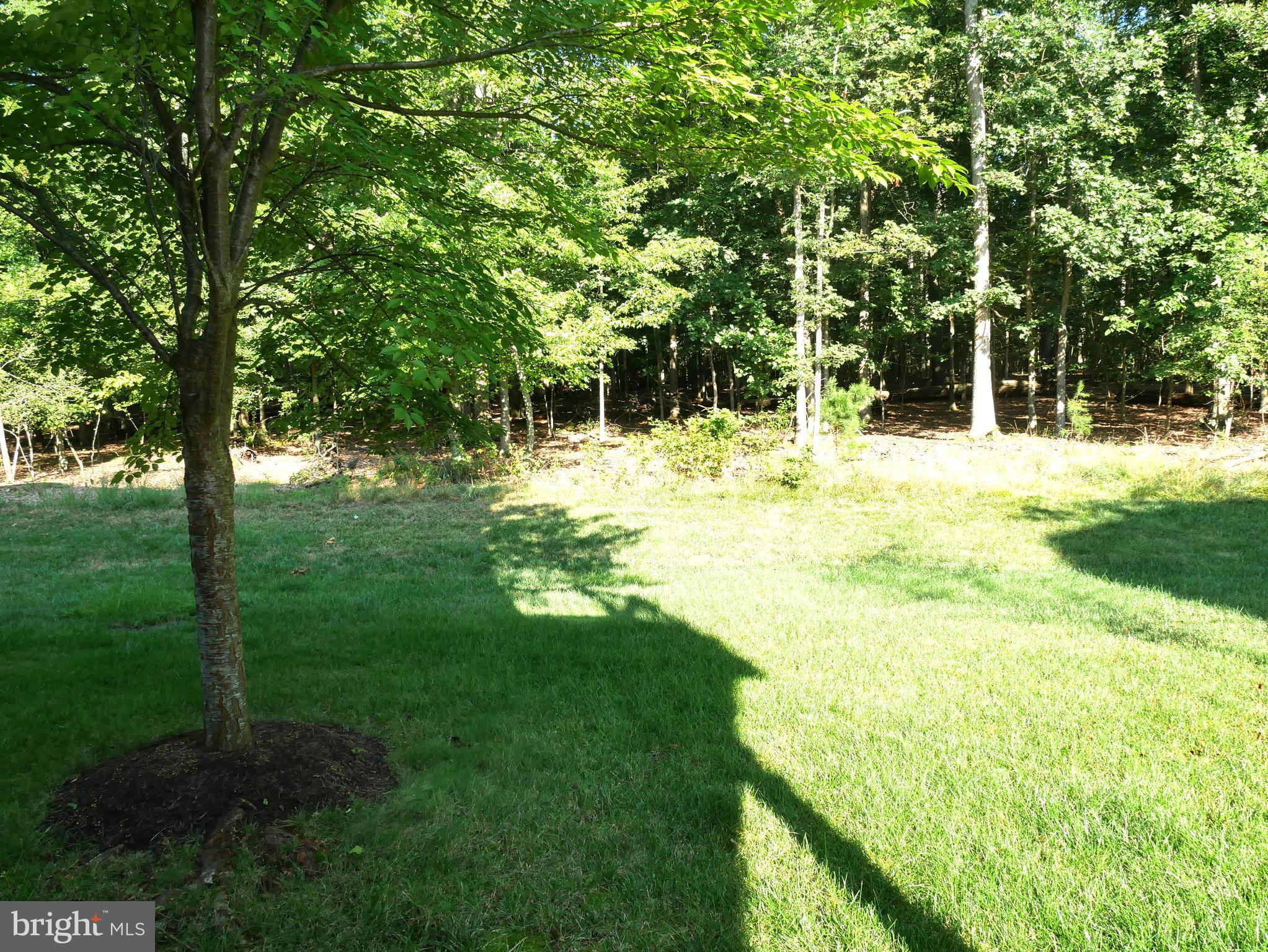 BRAMBLETON BRANDT PROPERTY - Residential Lease